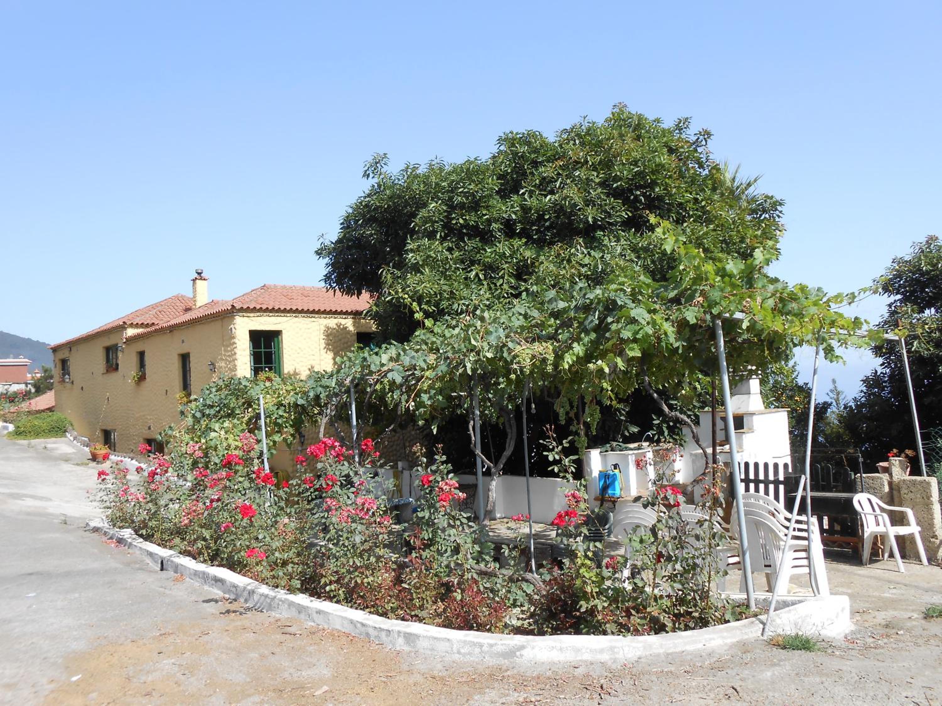 Photo 45