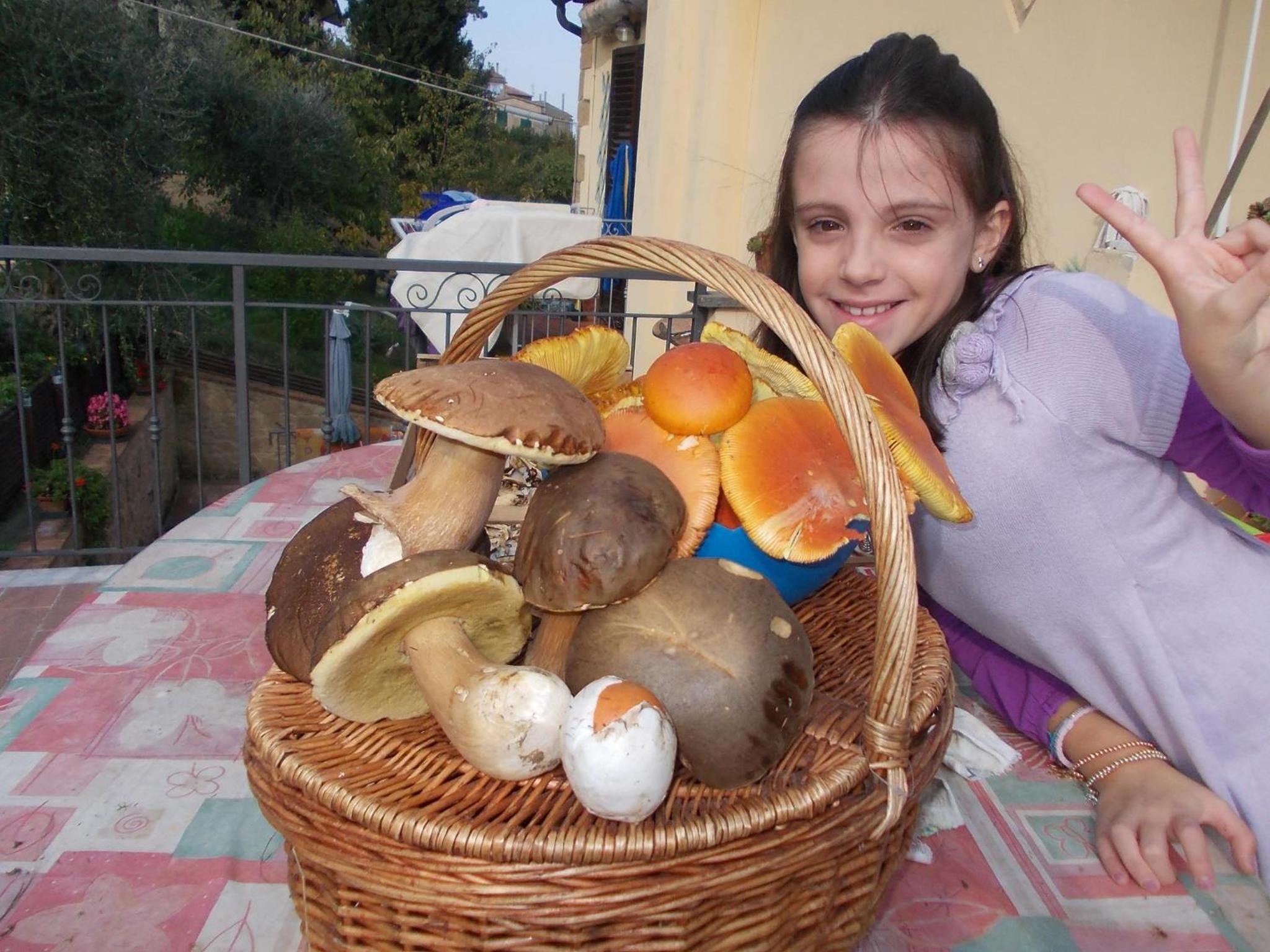 Photo 43