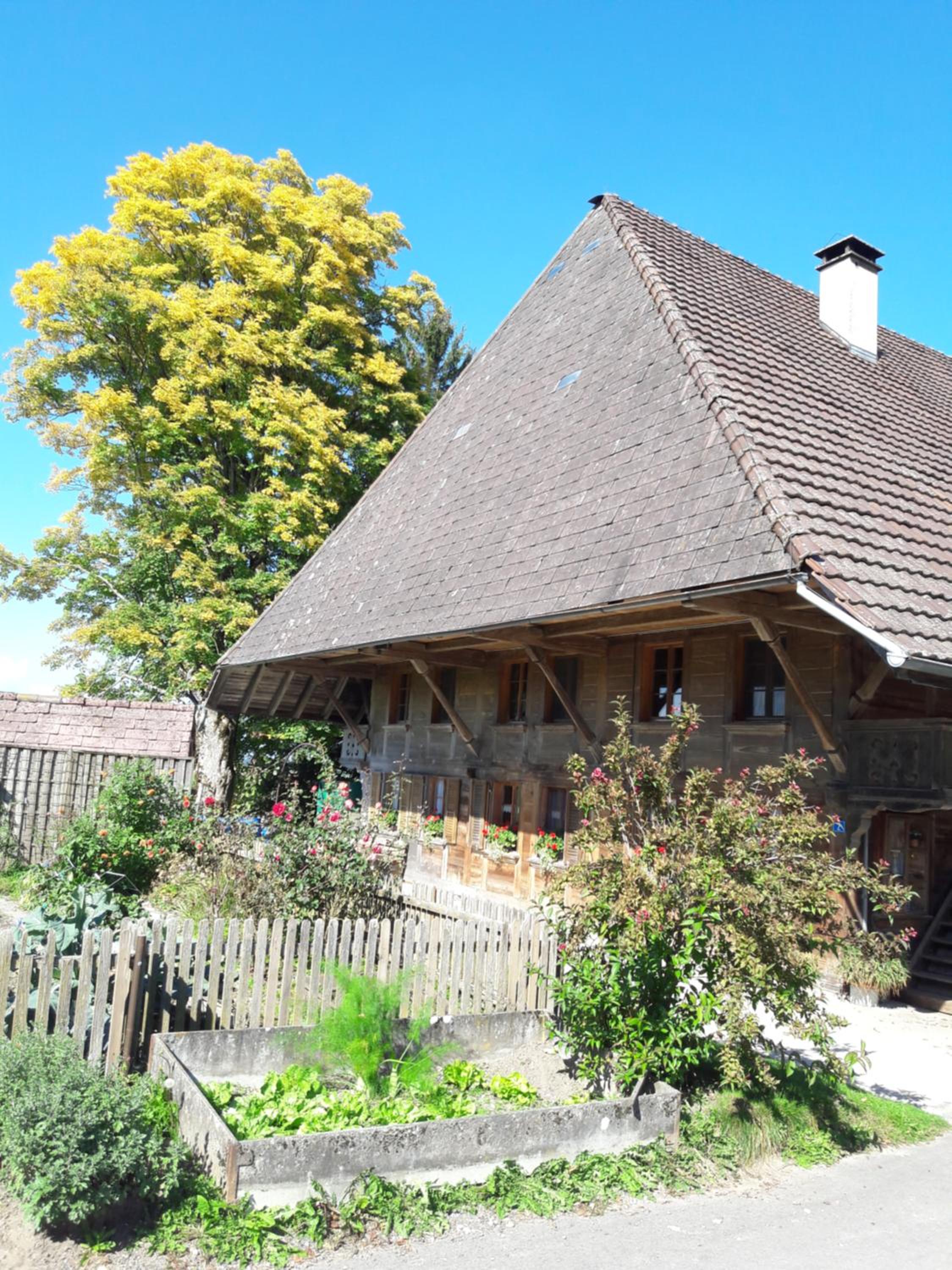 Bühl 3
