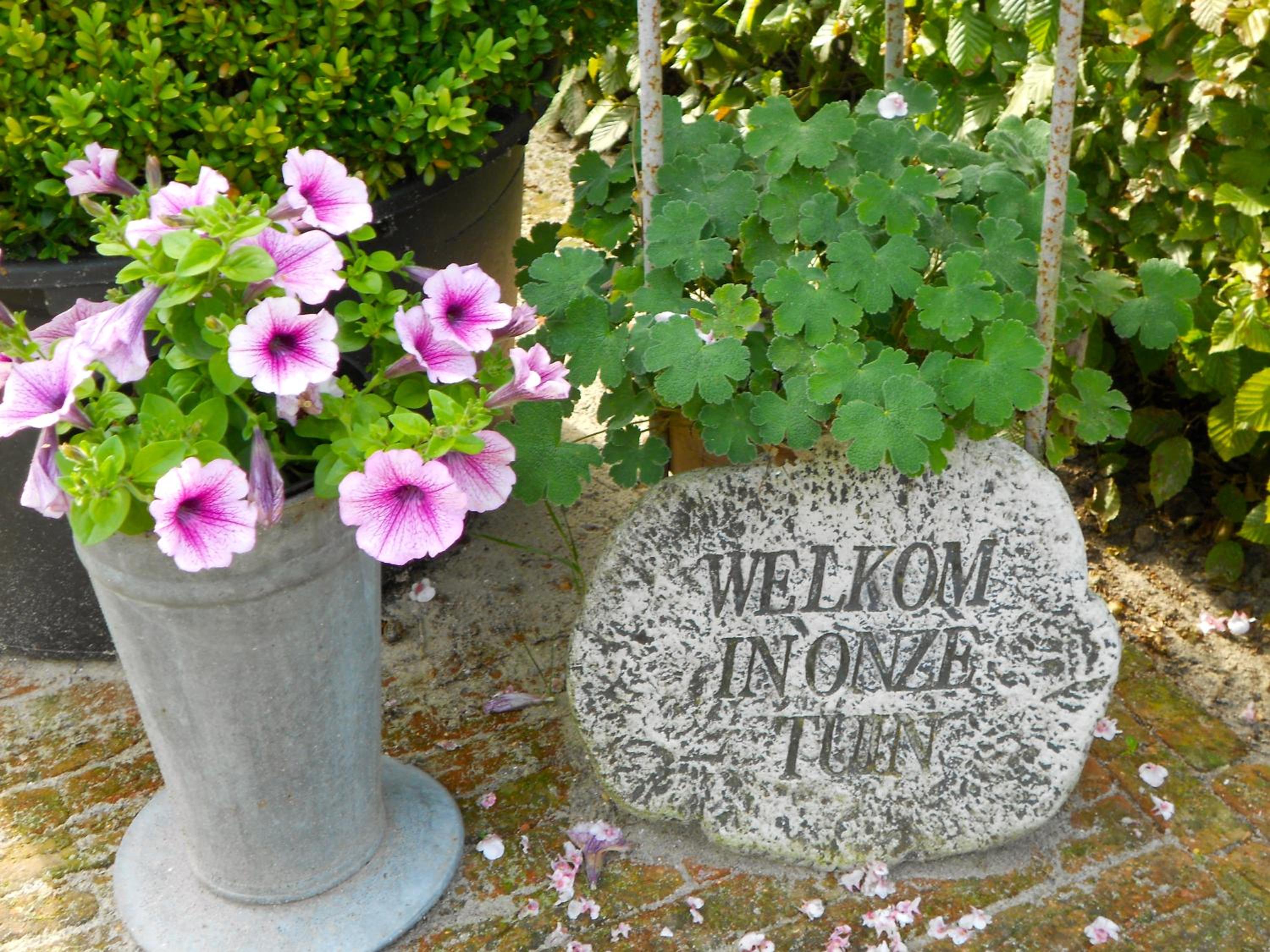 LOGIES Tuin der Zinnen