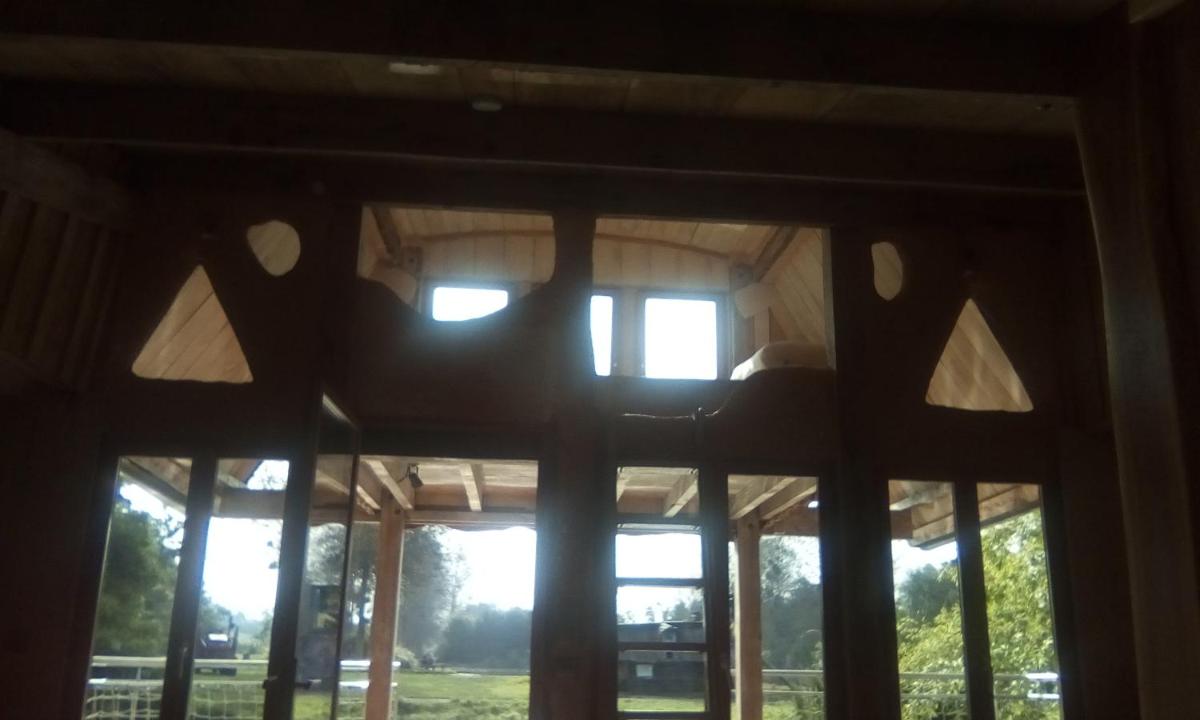 Photo 28
