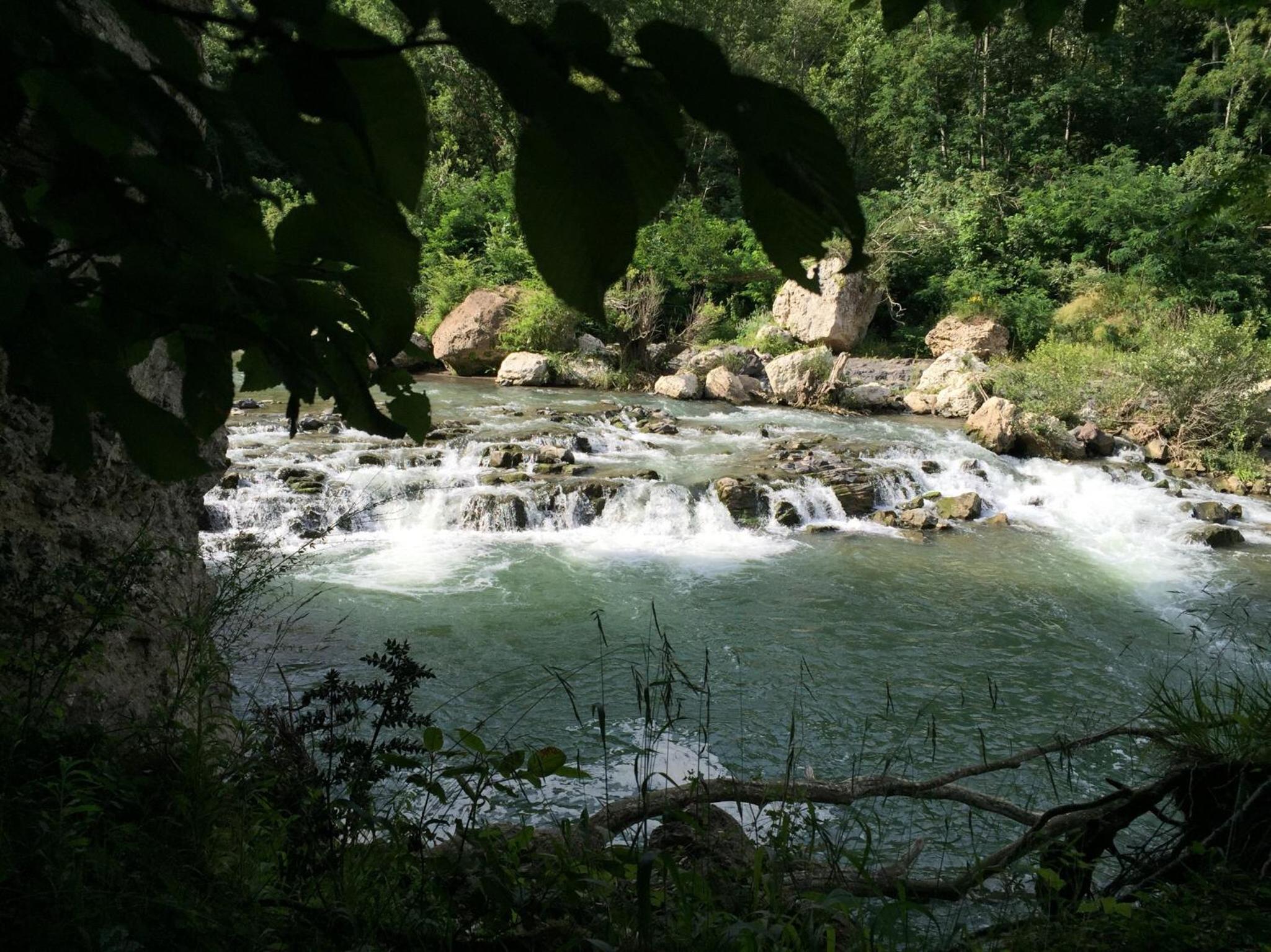 Photo 22