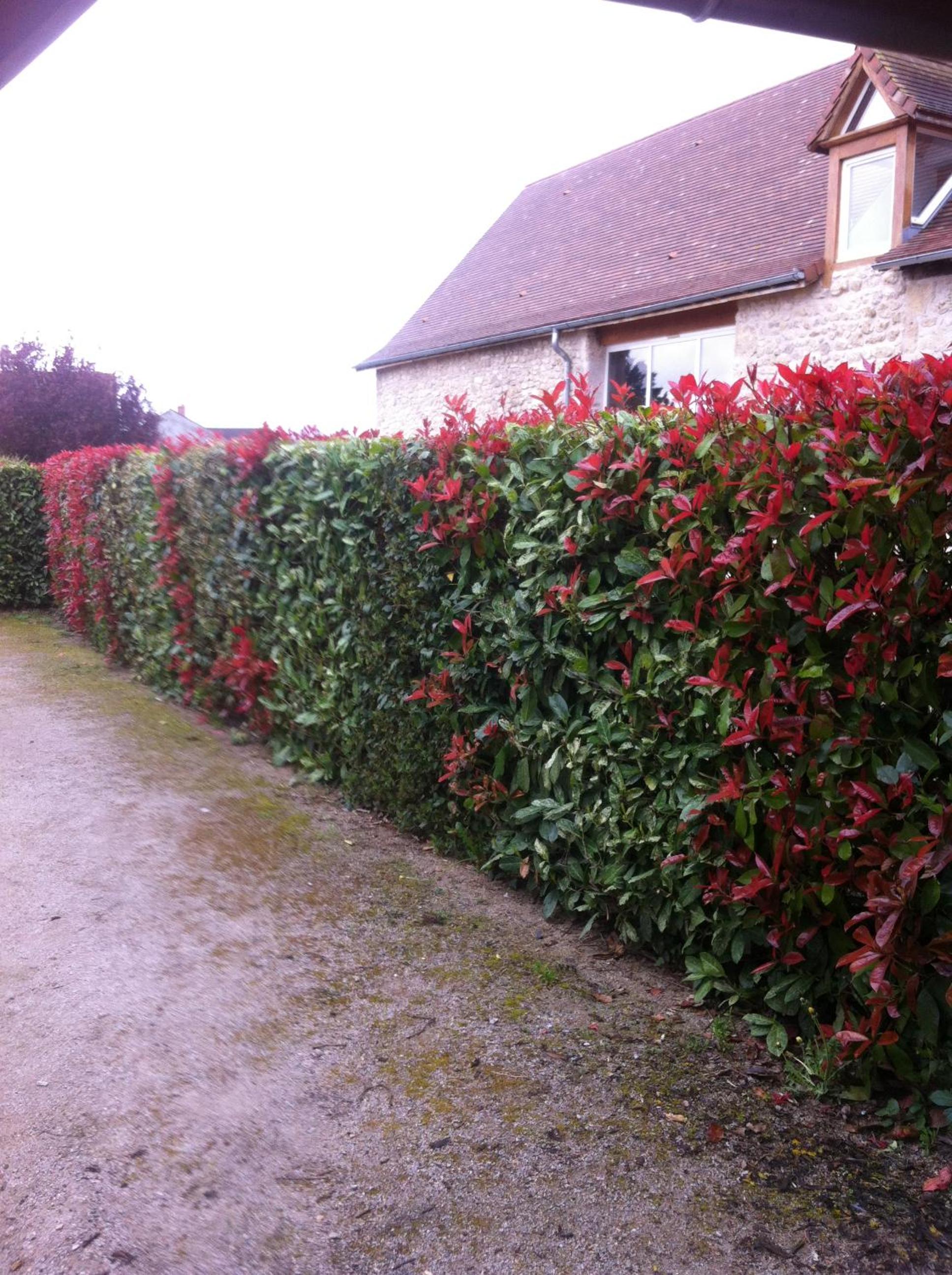 Photo 10