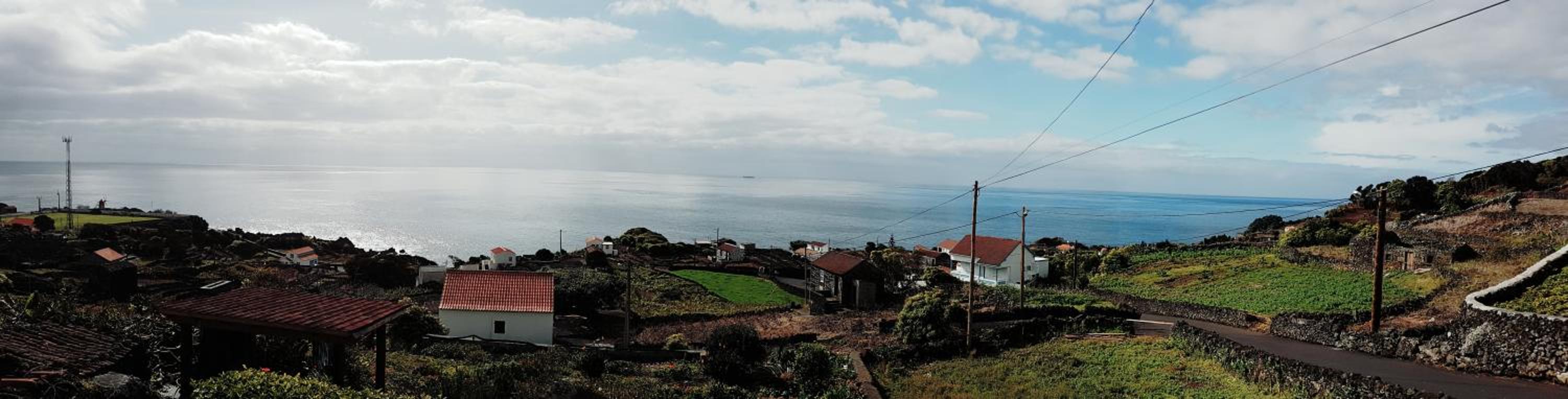 Adega da Figueira