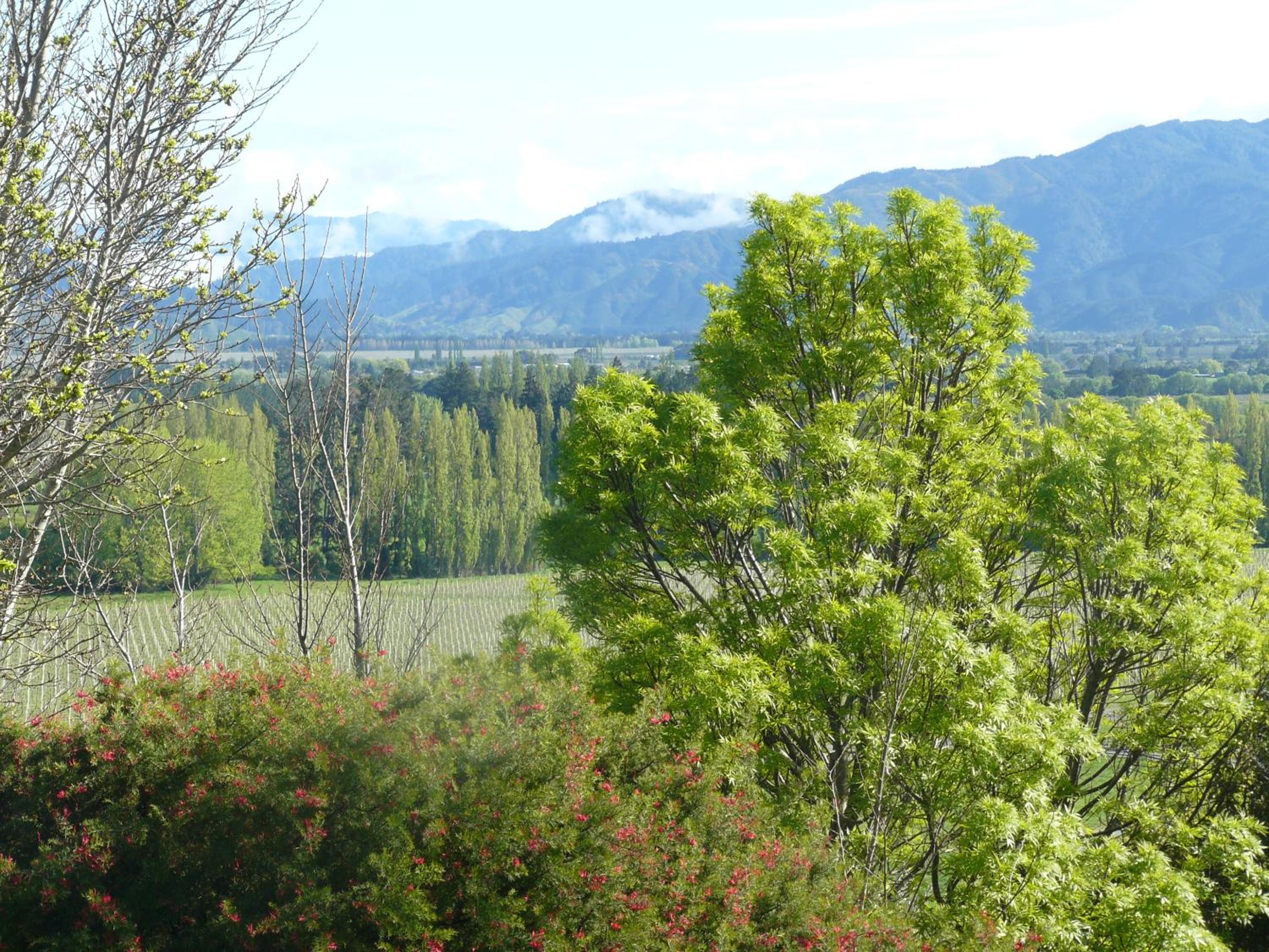 Photo 40