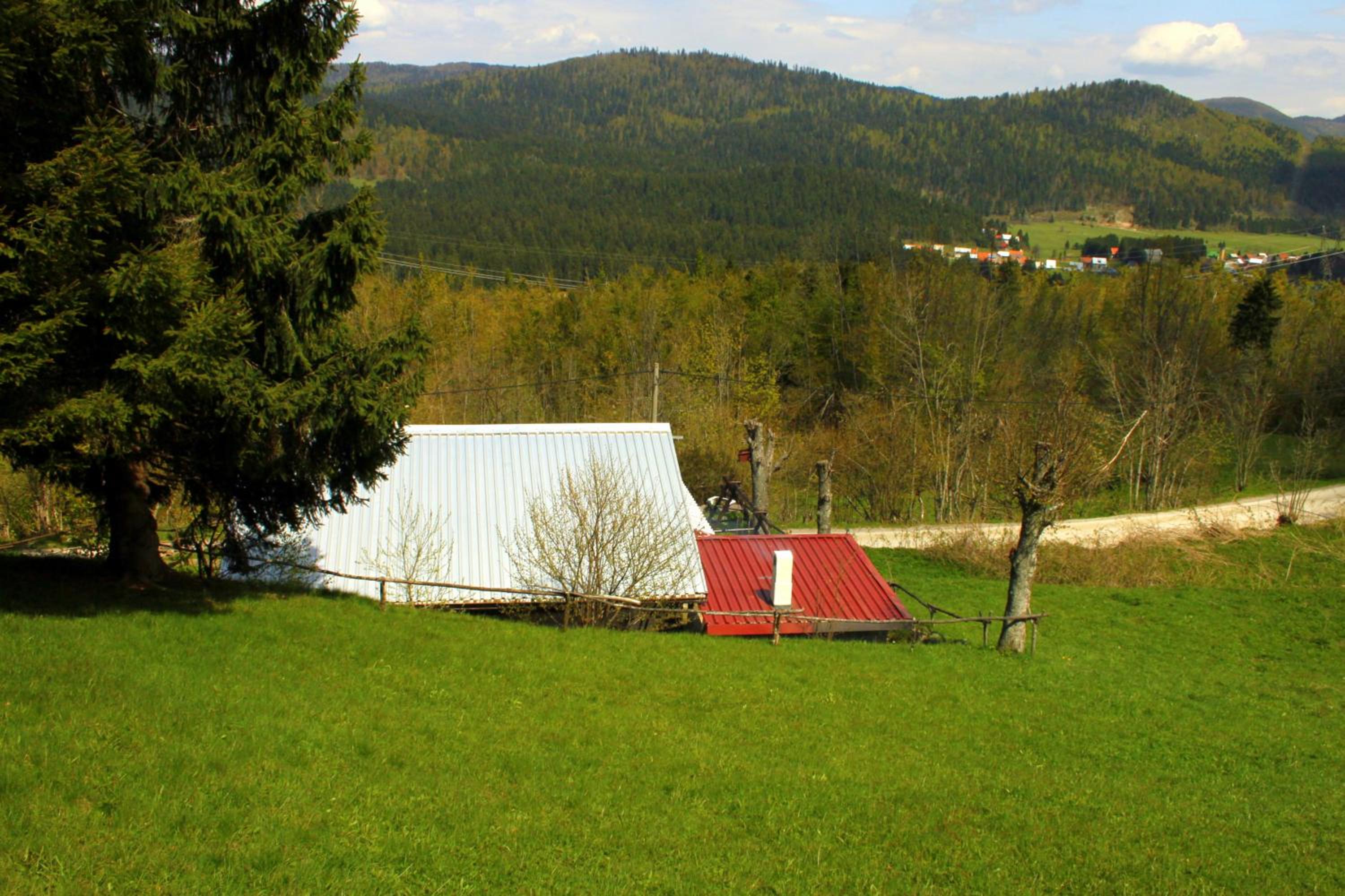 Photo 41