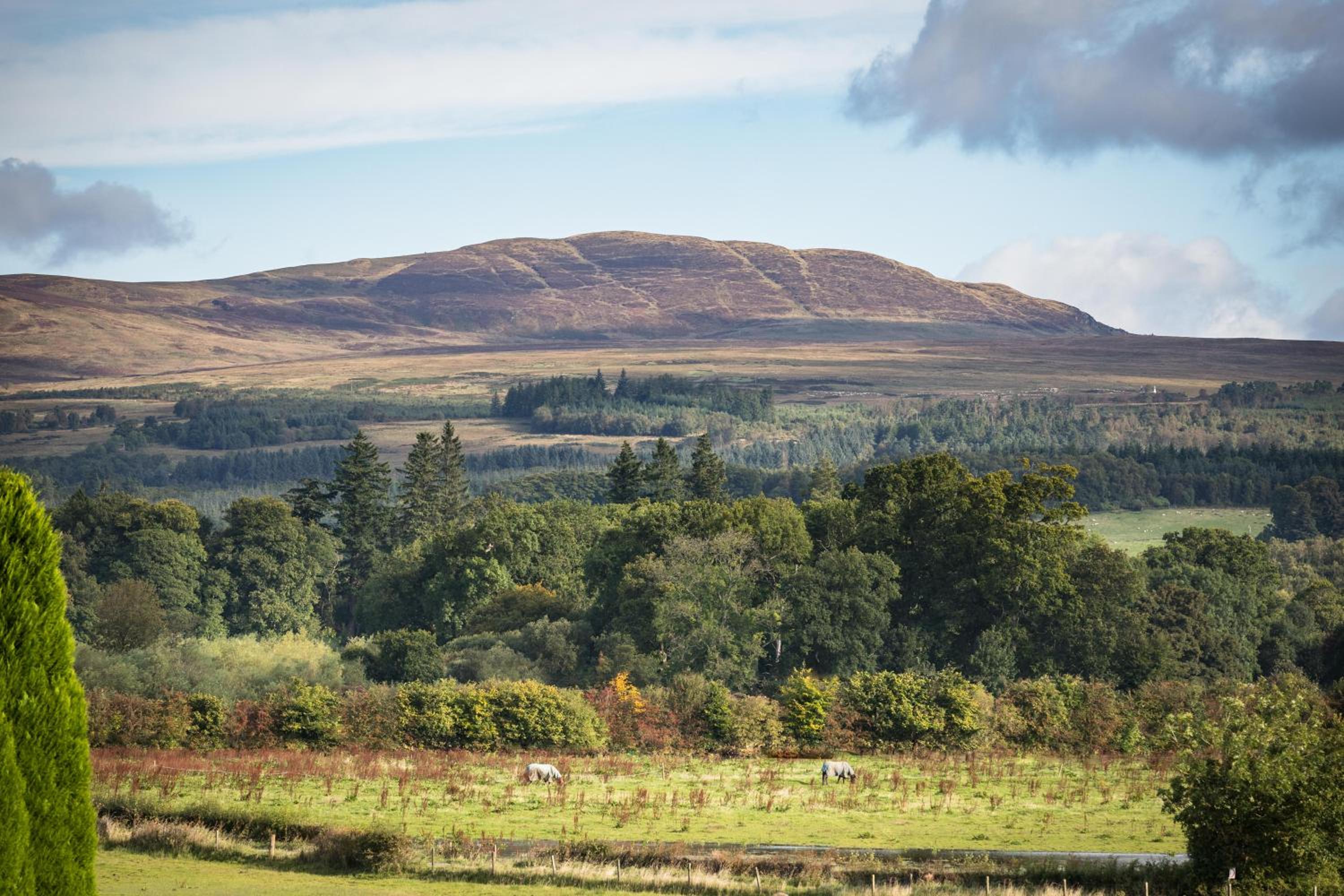 Kilmaronock Manse B&B