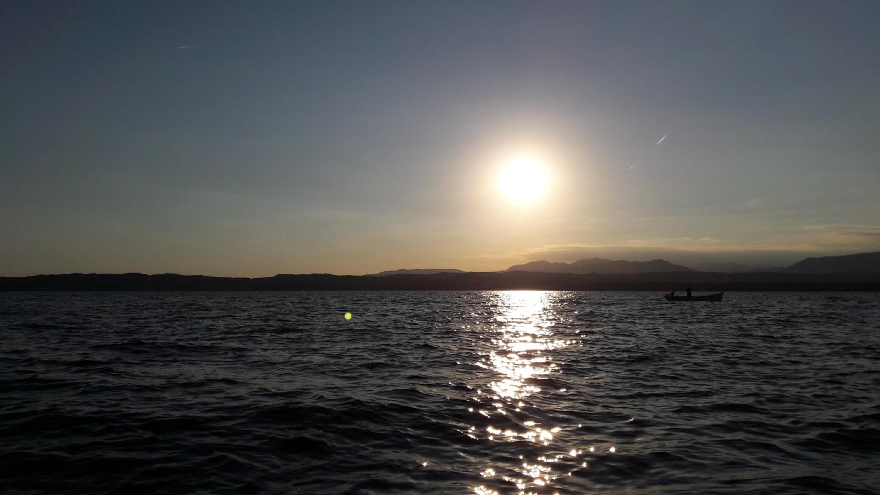 Photo 41
