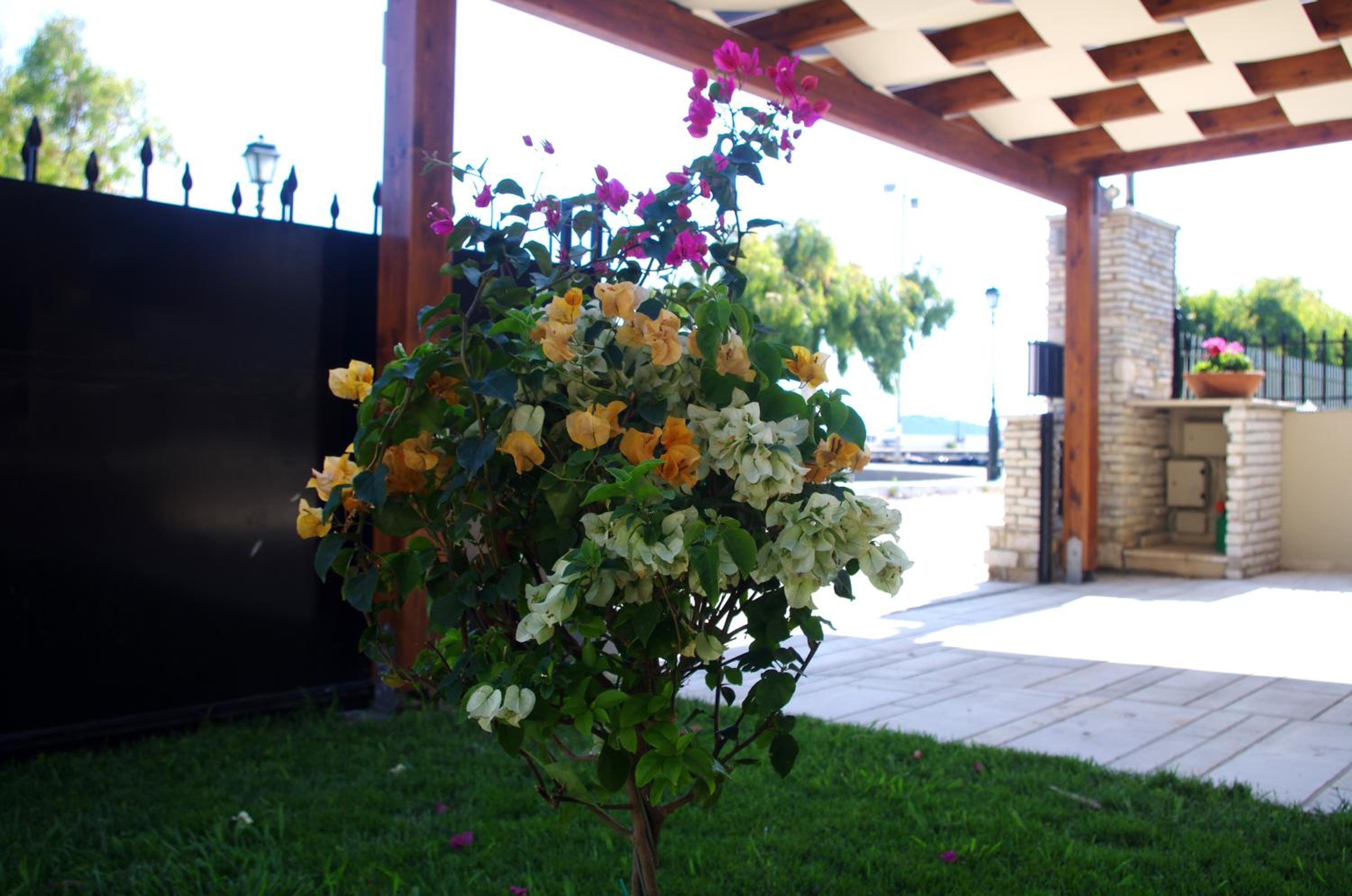 Photo 15