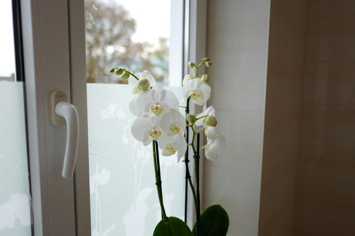 Hotel Stern