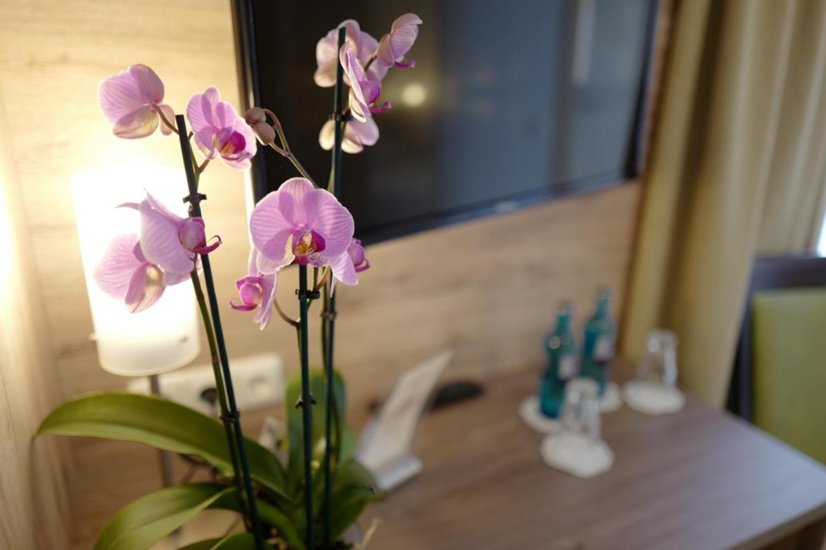 Hotel Stern