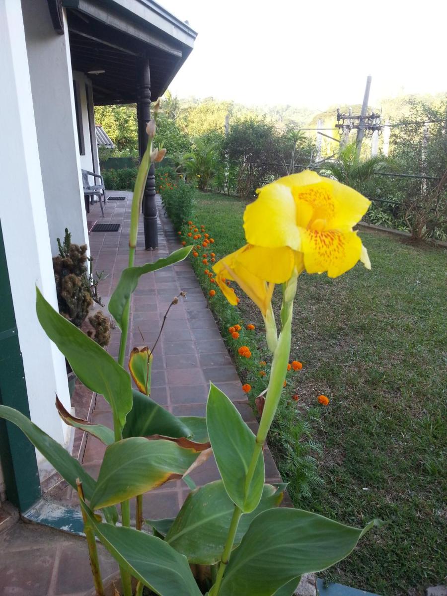 Kandy Holiday Home
