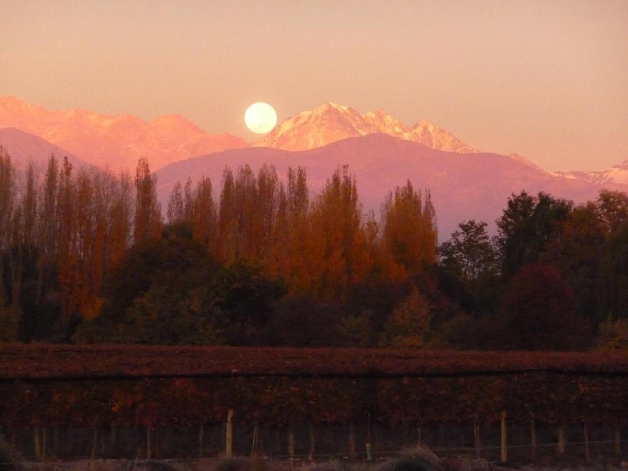 Cabaña del Alto Tupungato