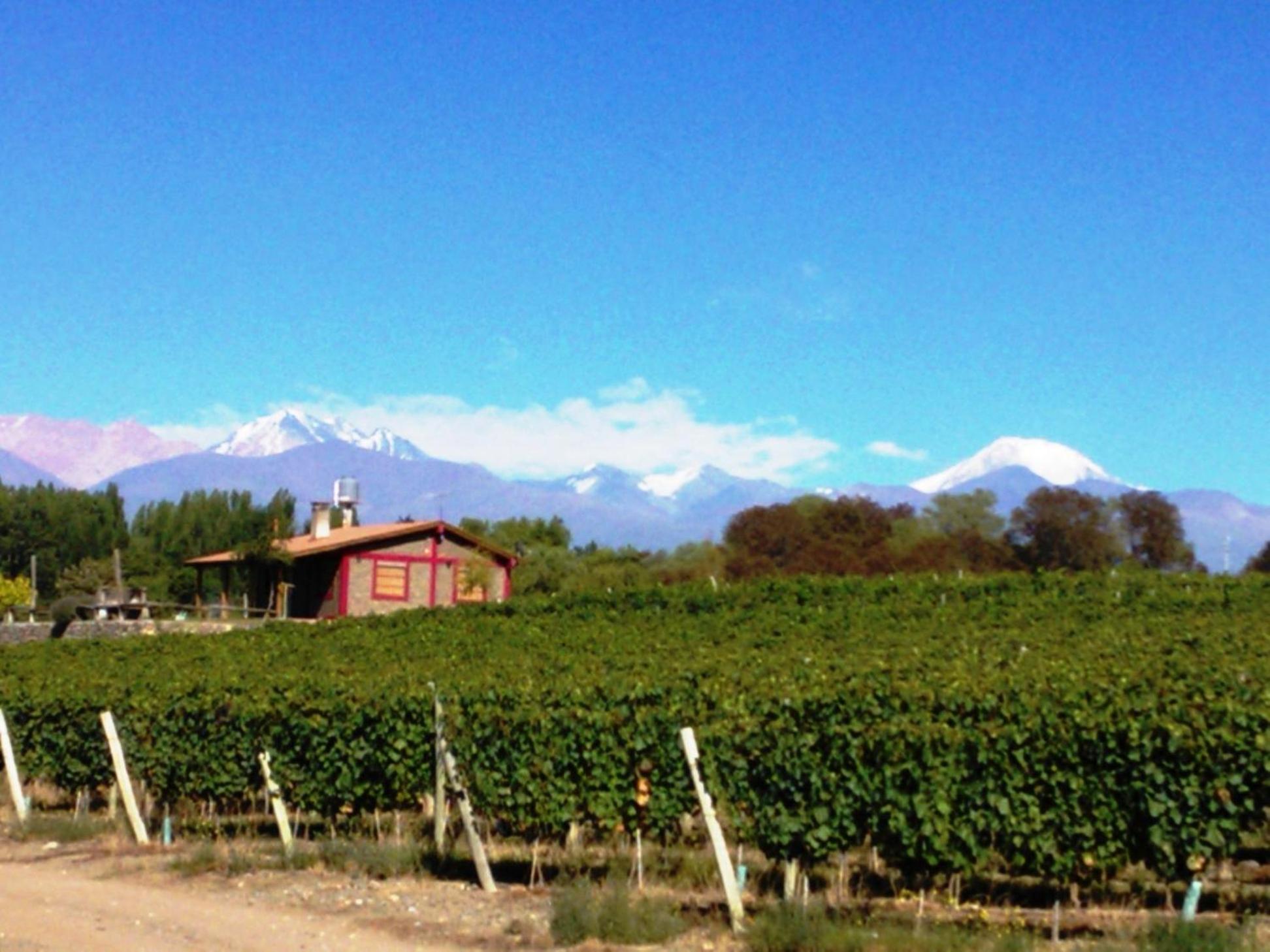 Cabaña del Alto Tupungato