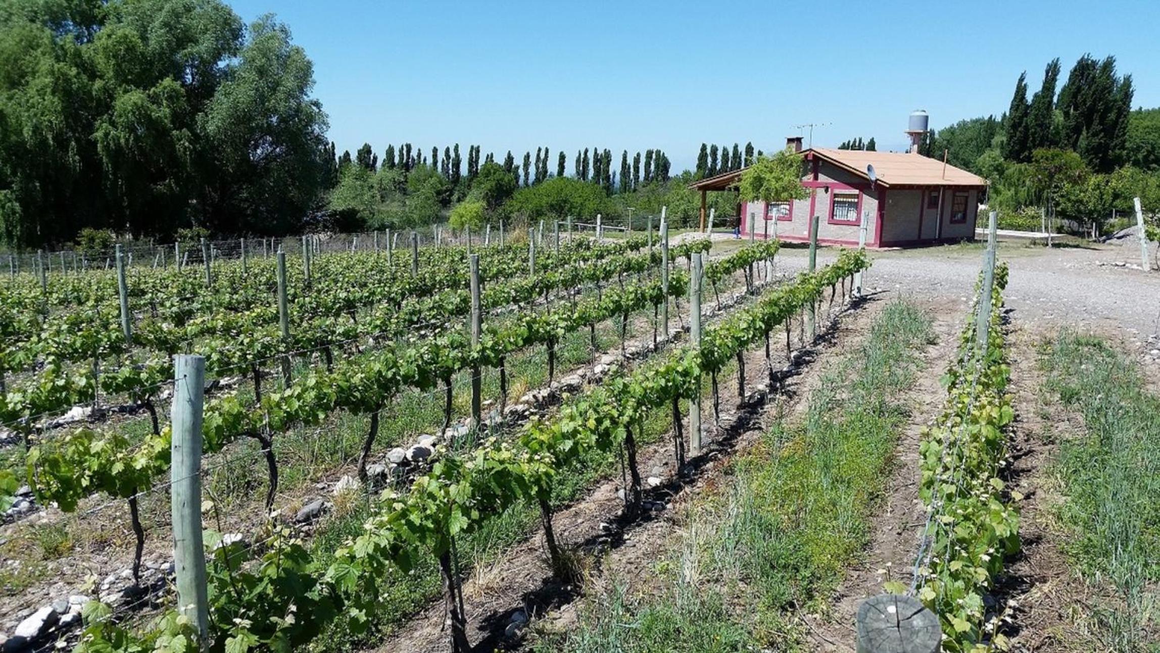 Cabaña del Alto Tupungato