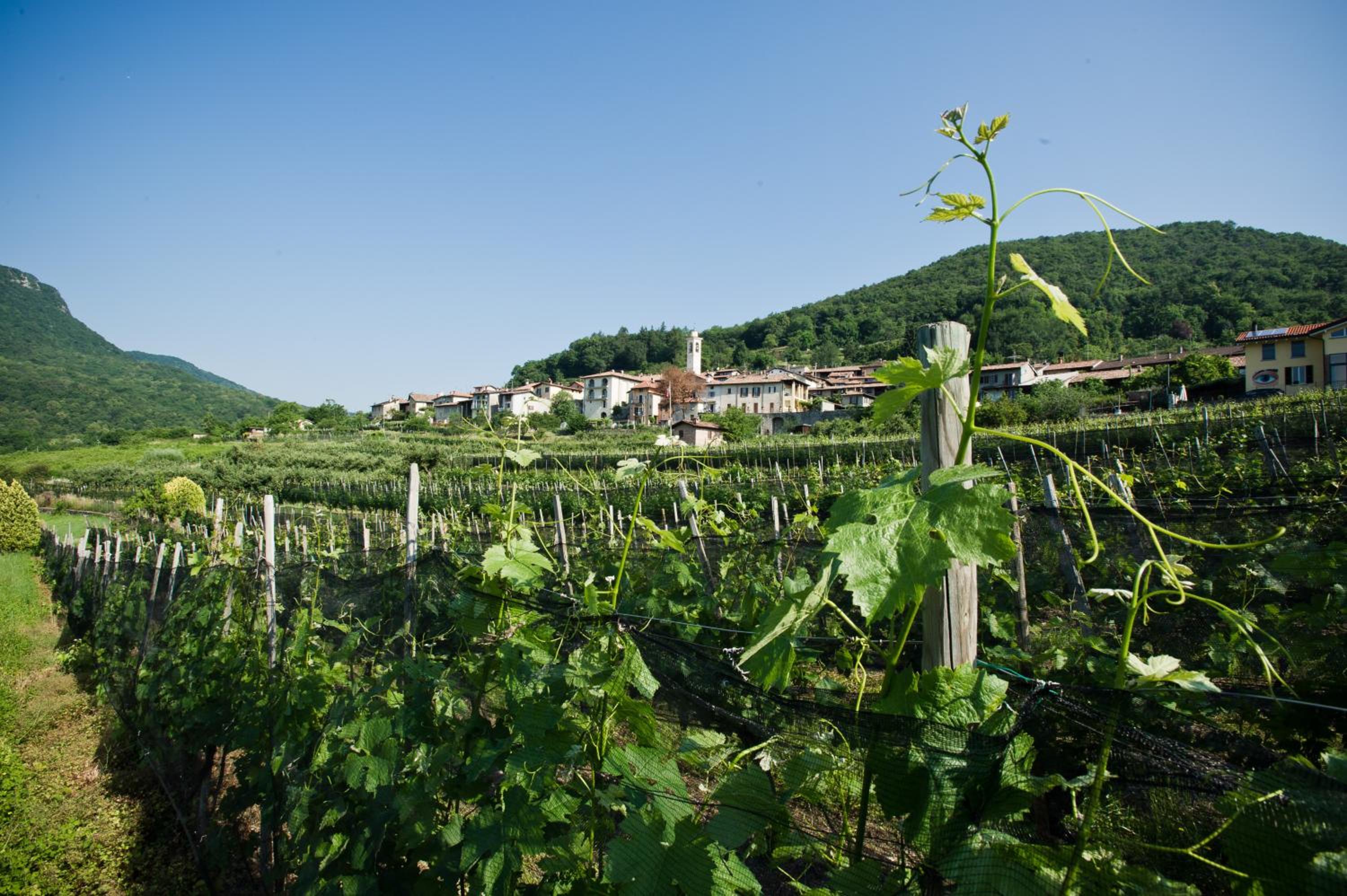 Charming B&B and Osteria La Crisalide
