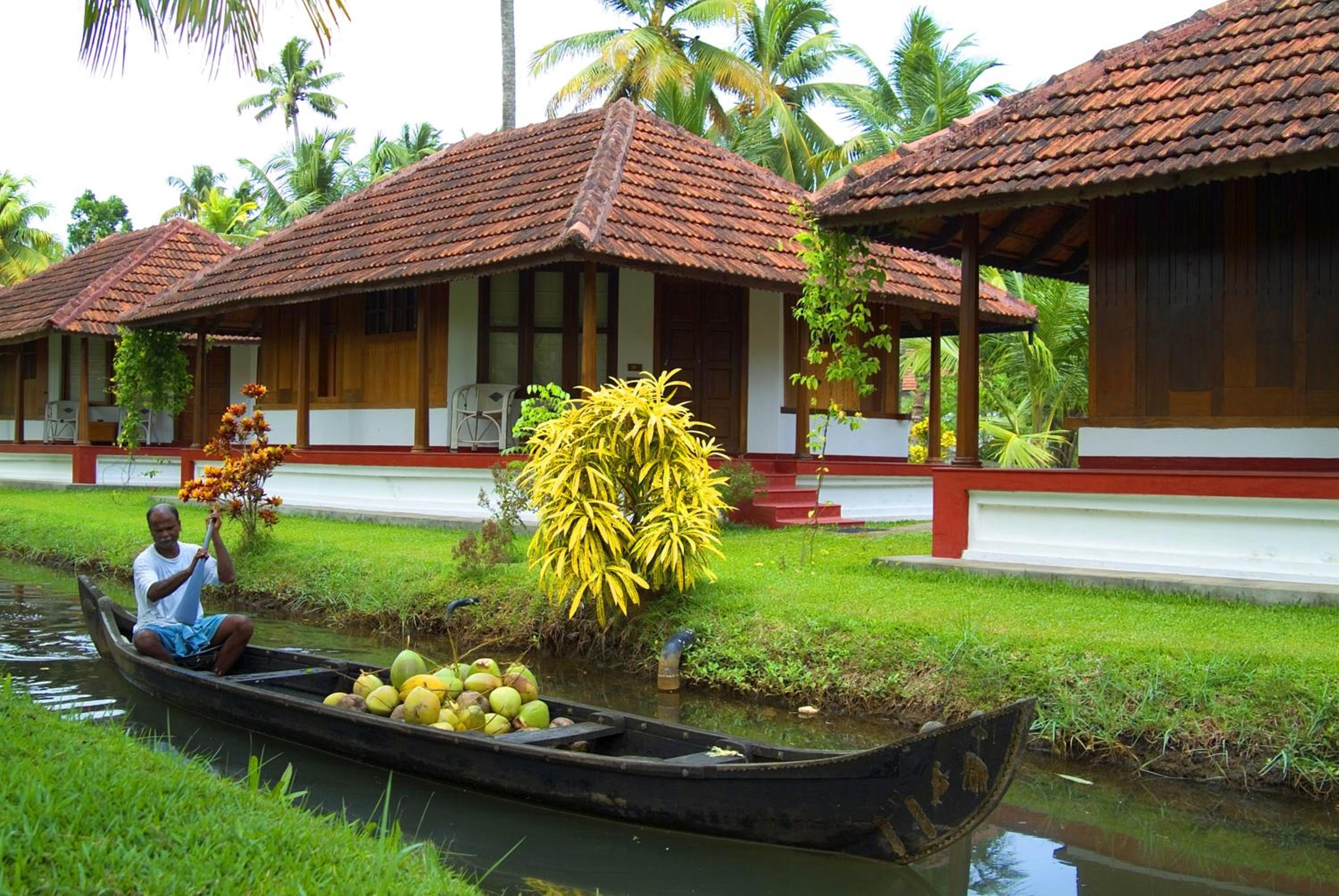 Photo 45