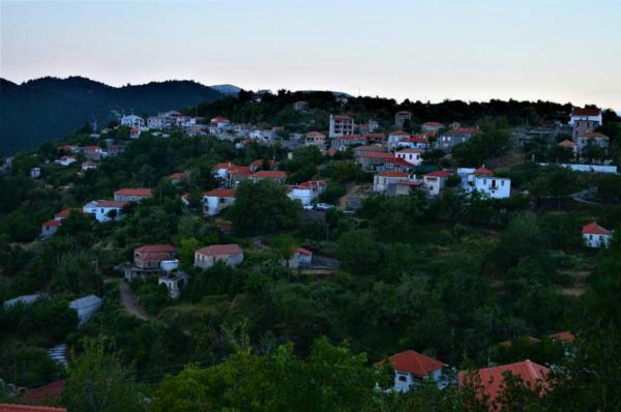 Photo 45