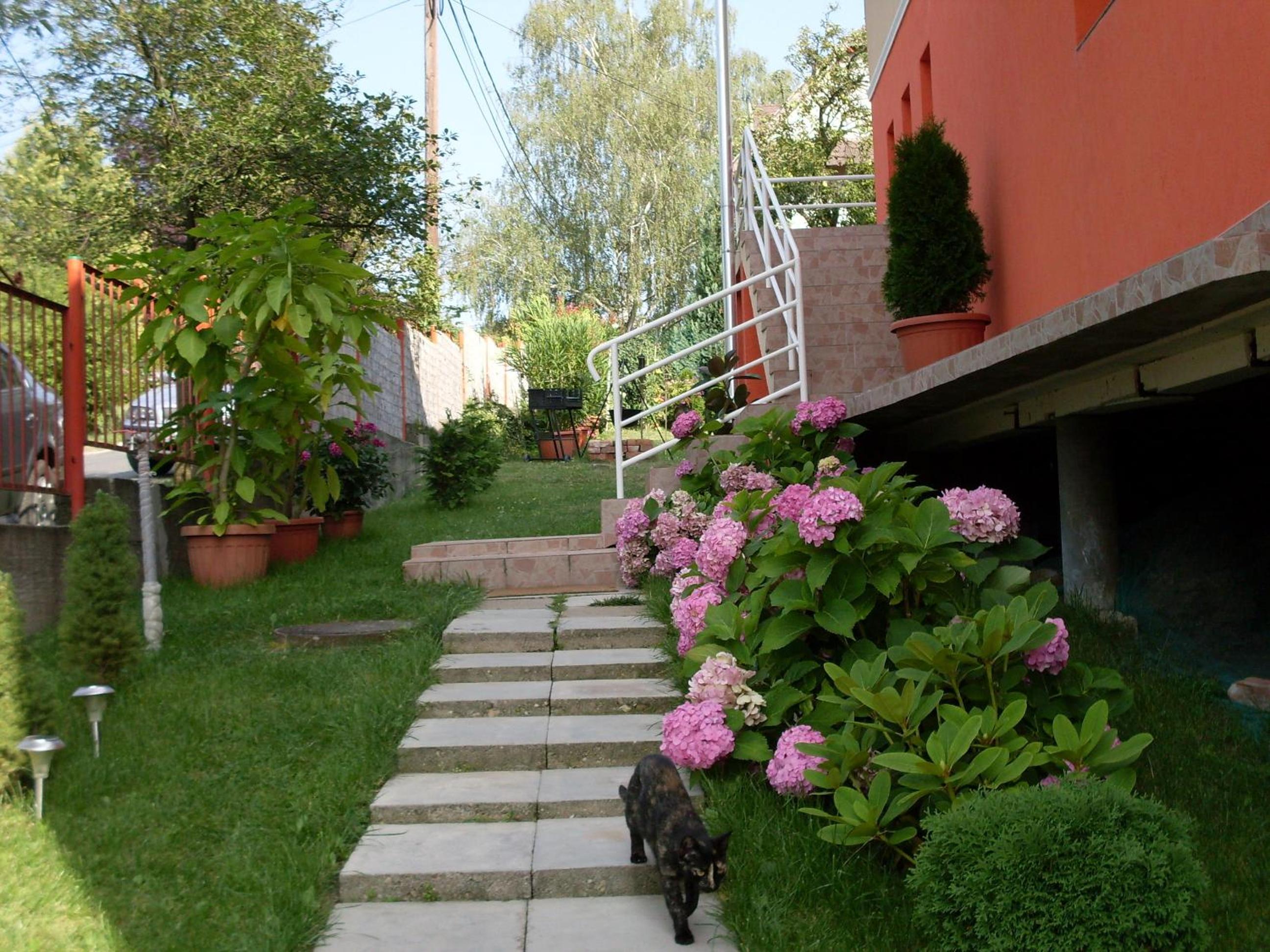 Photo 50