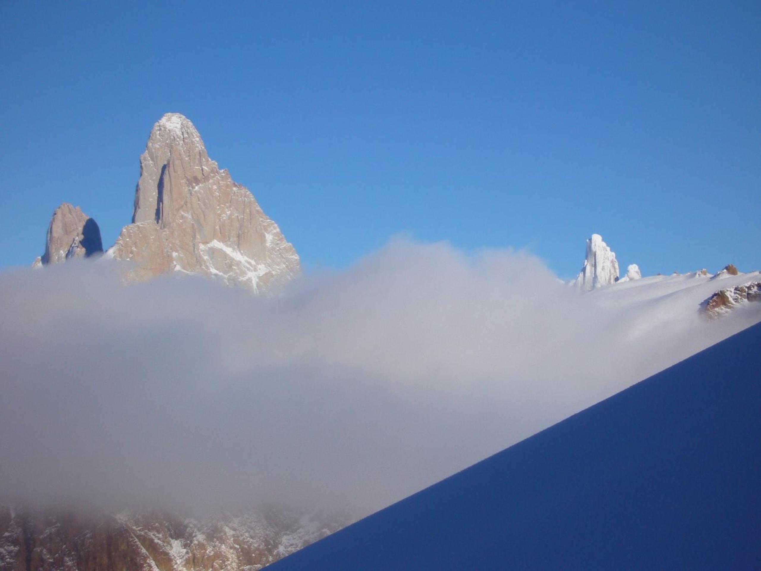 Condor De Los Andes