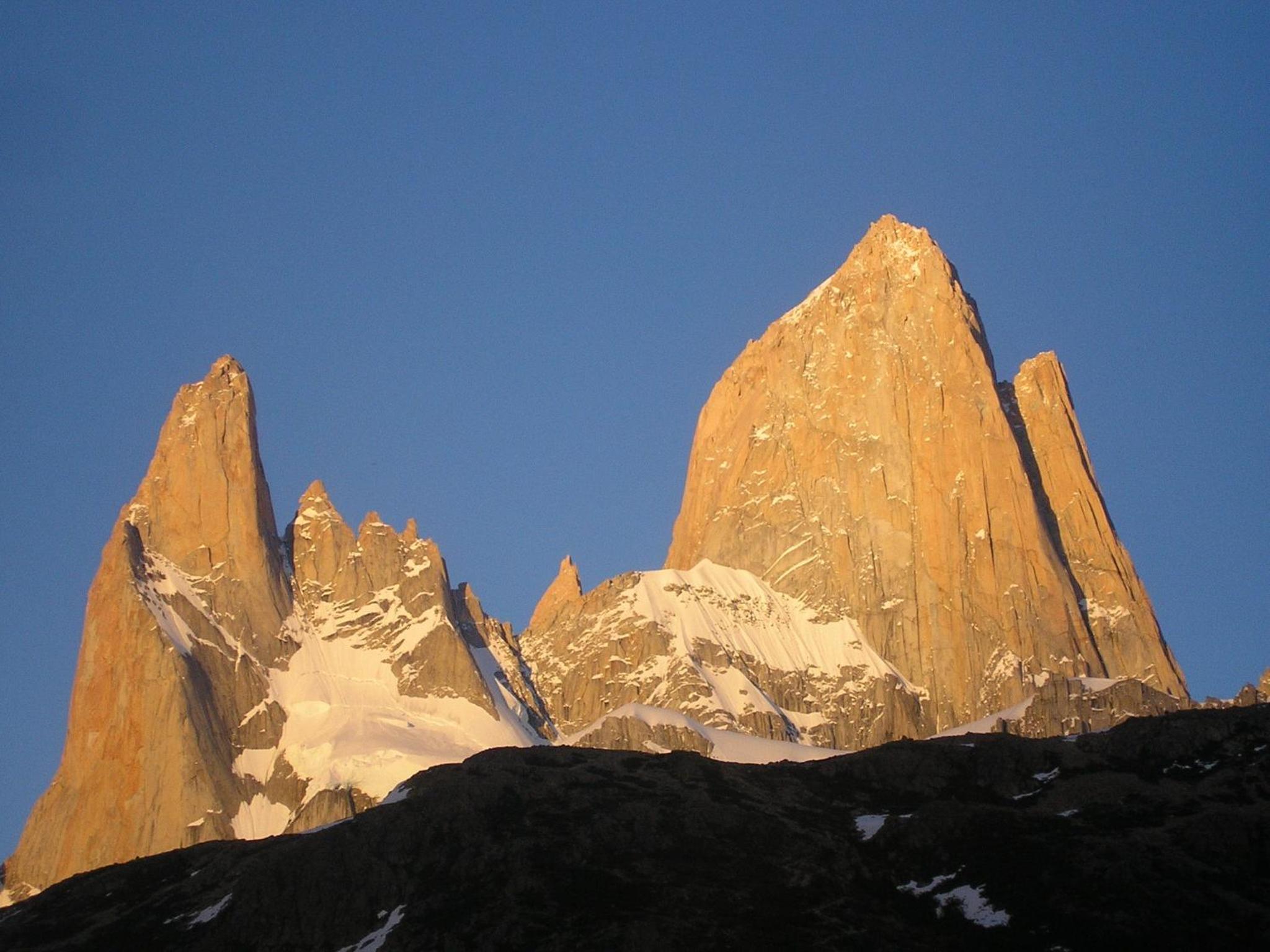 Condor De Los Andes