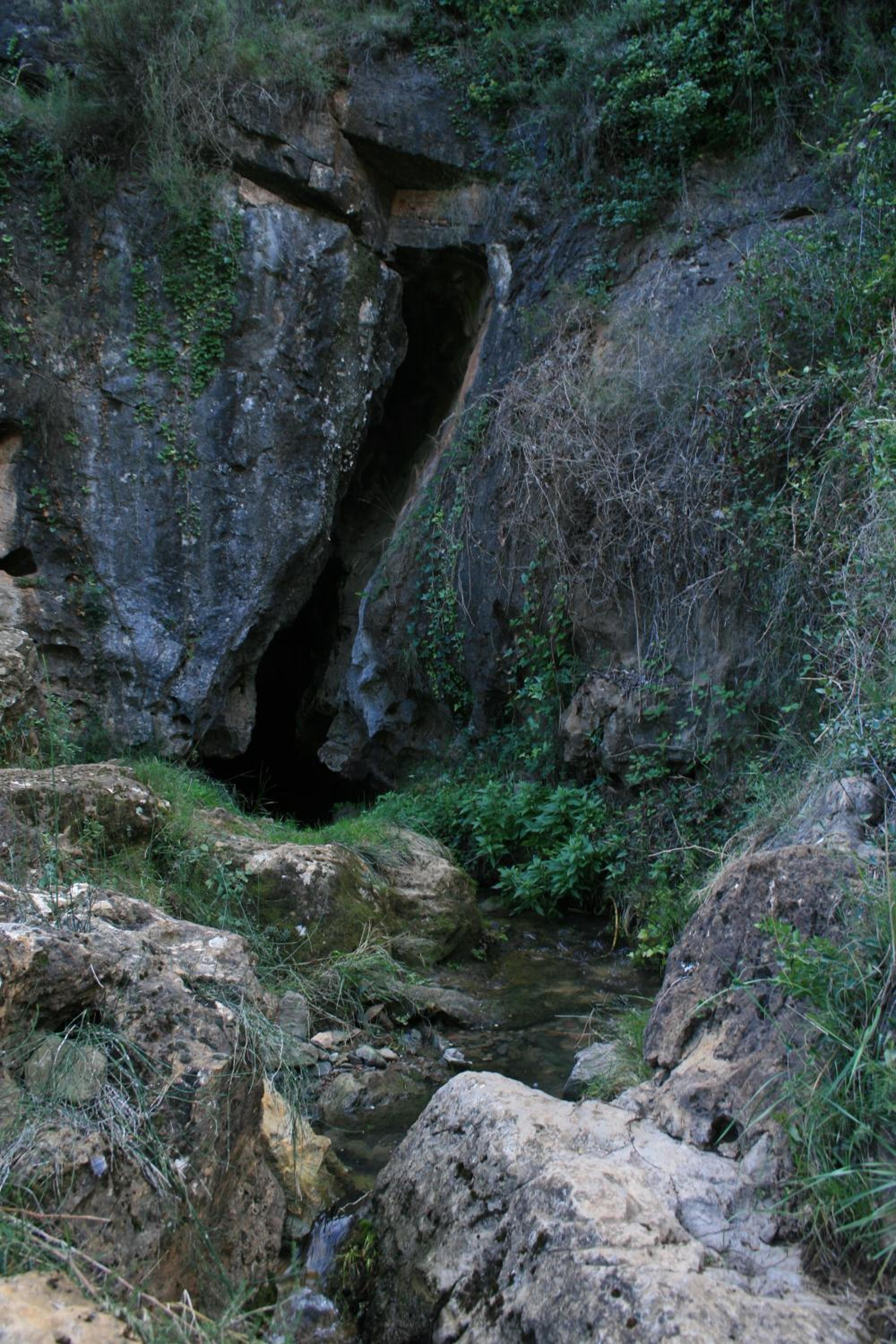 Photo 32