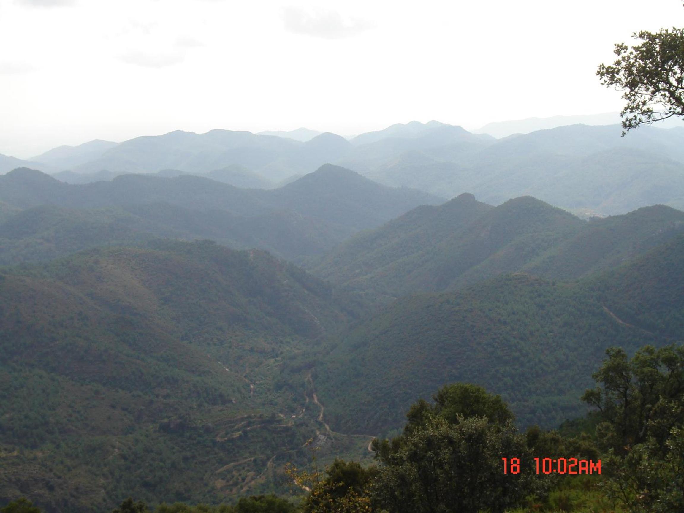 Photo 24