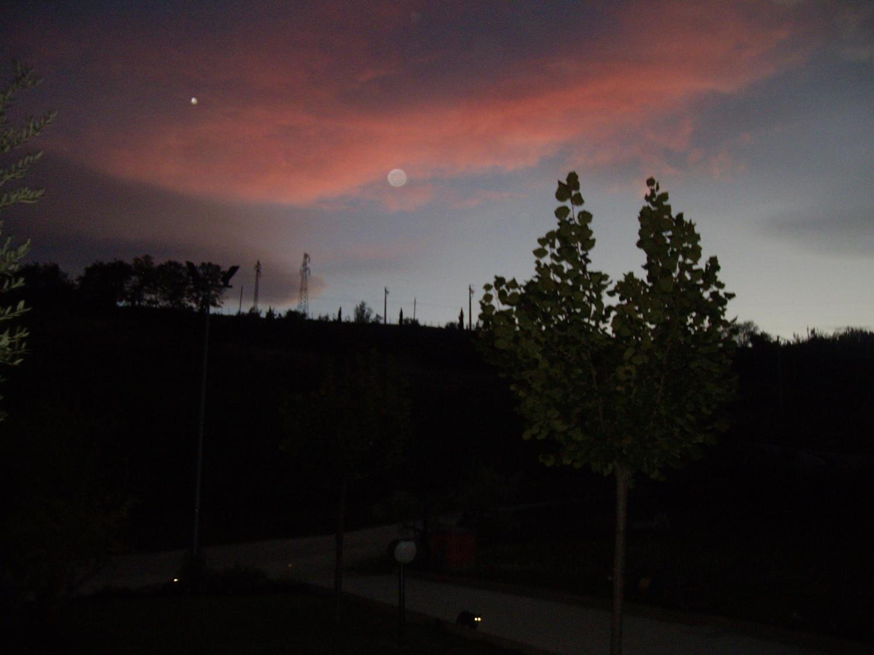 Agriturismo Il Borgo Degli Ulivi view 3
