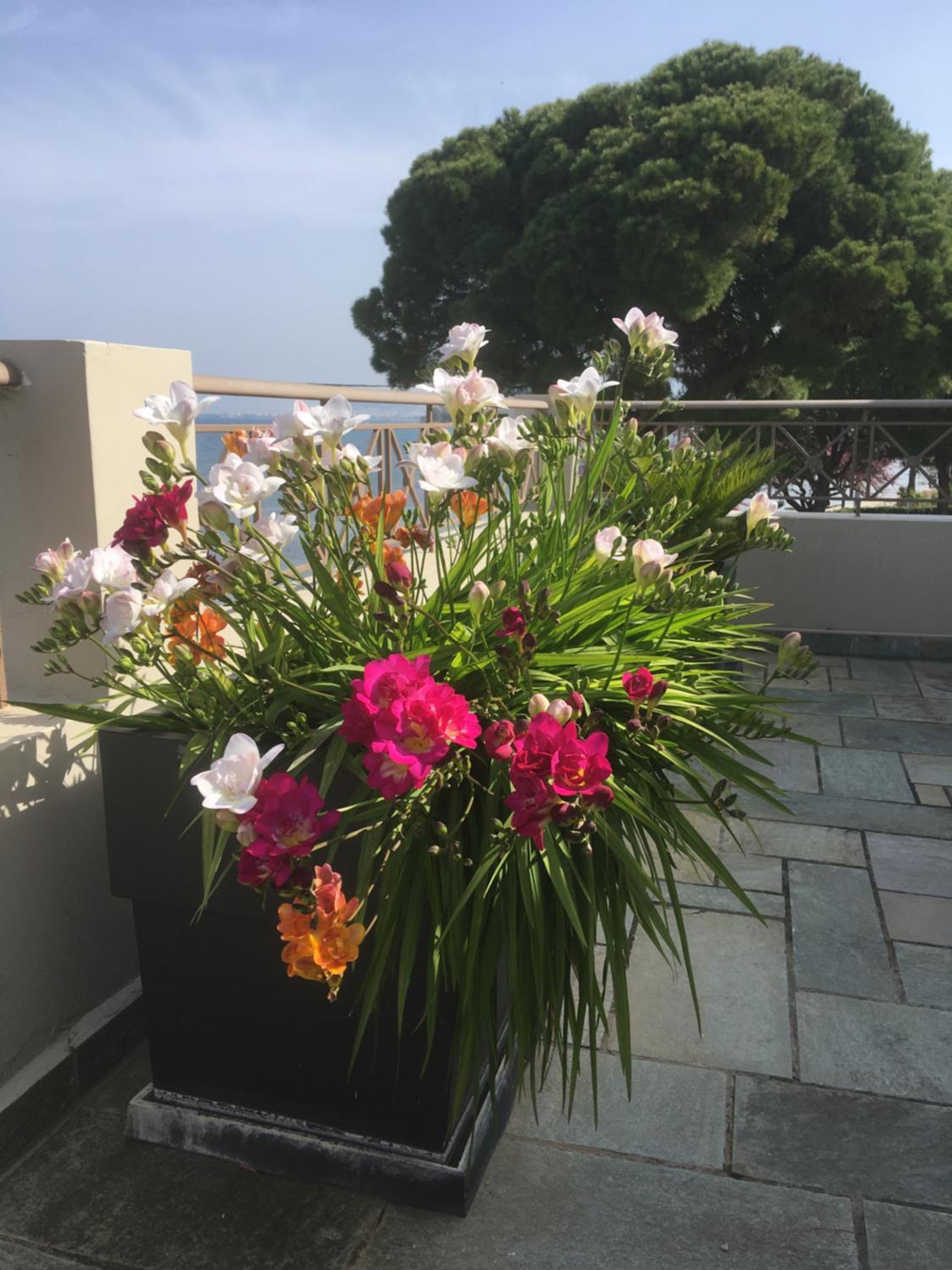 Villa Markos