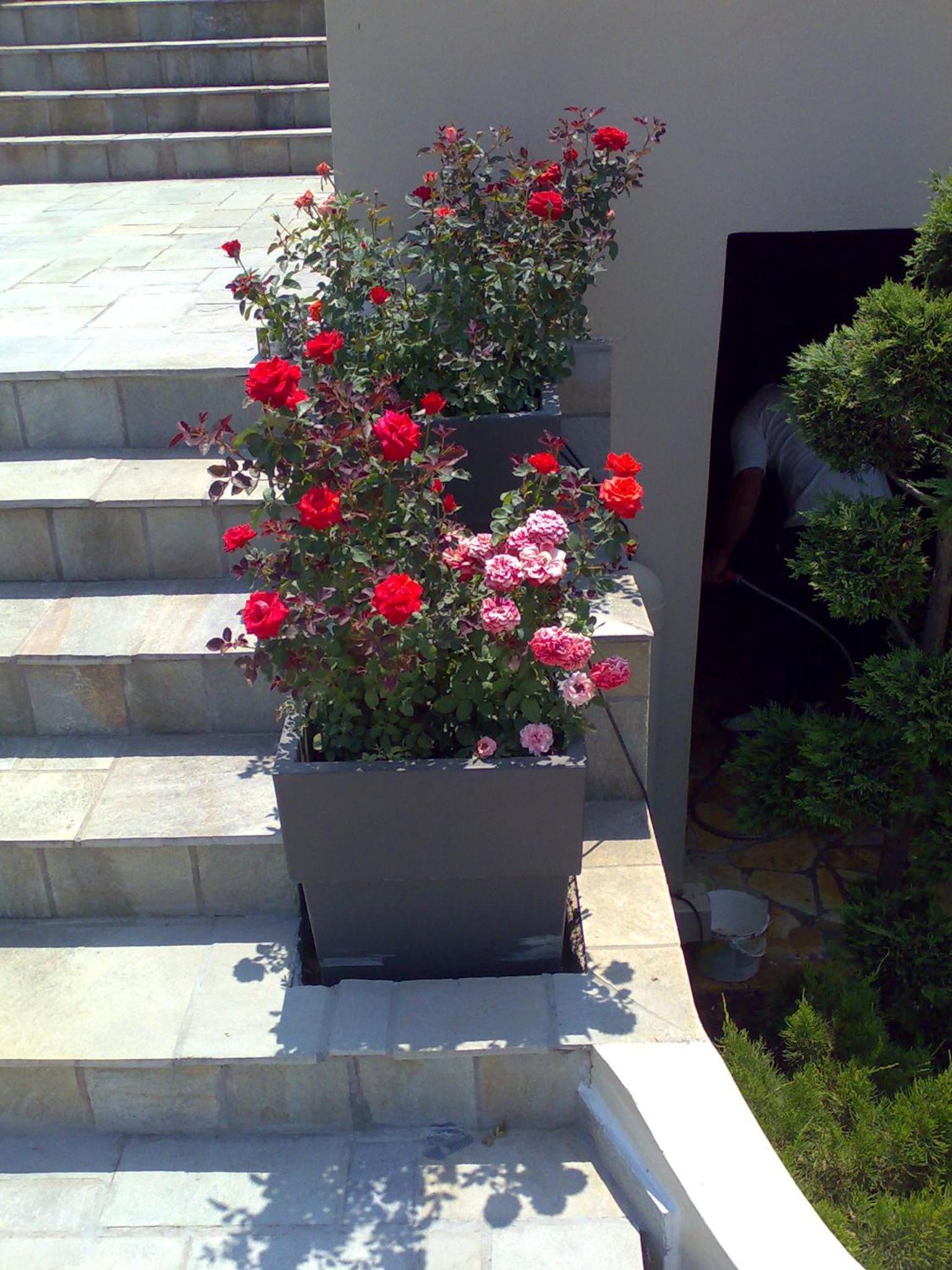 Villa Markos