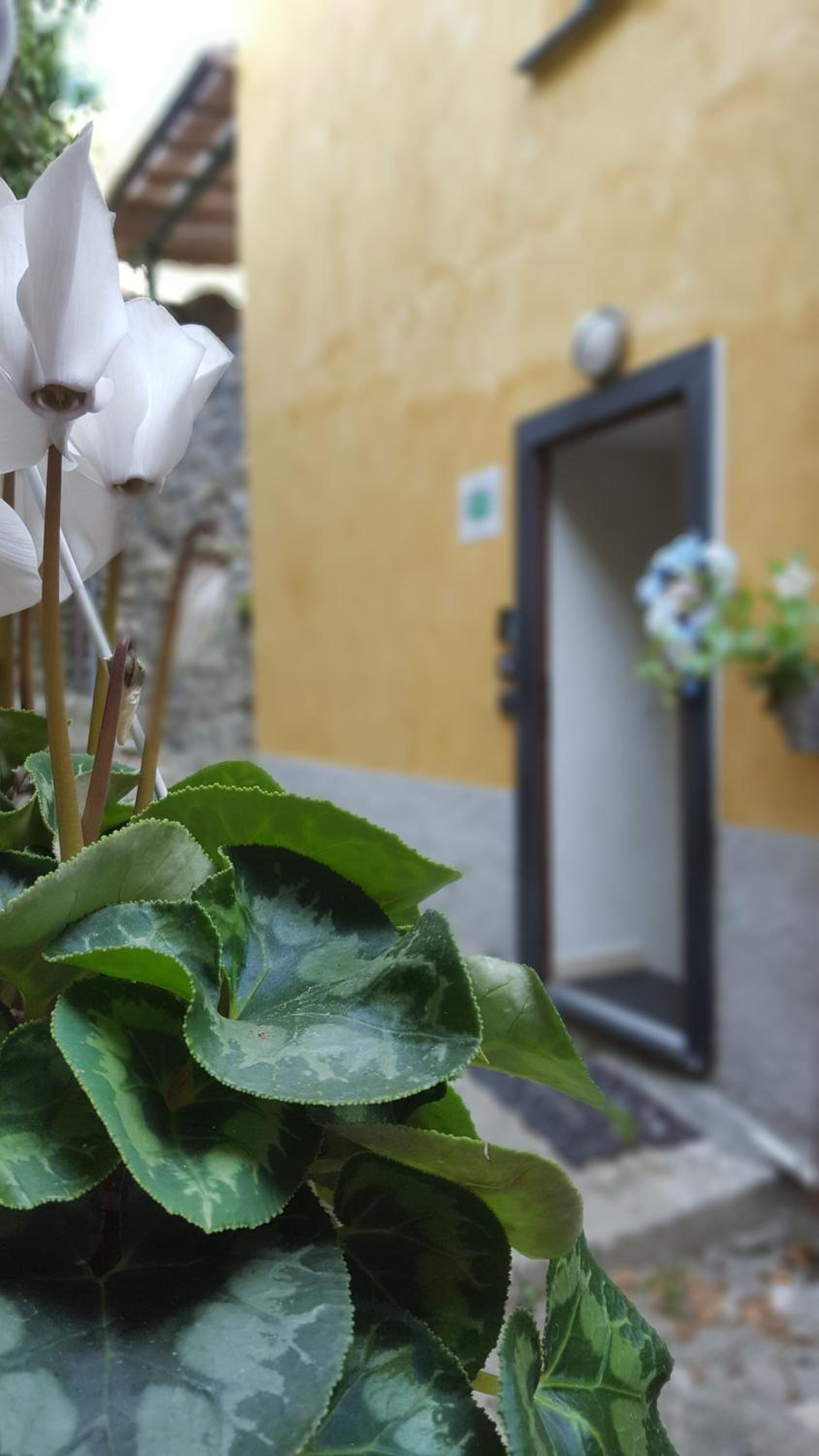 Hotel La Rocca Maison de Charme