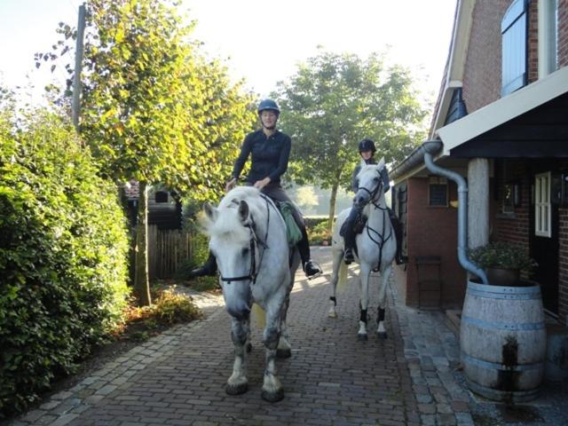B&B Maarle