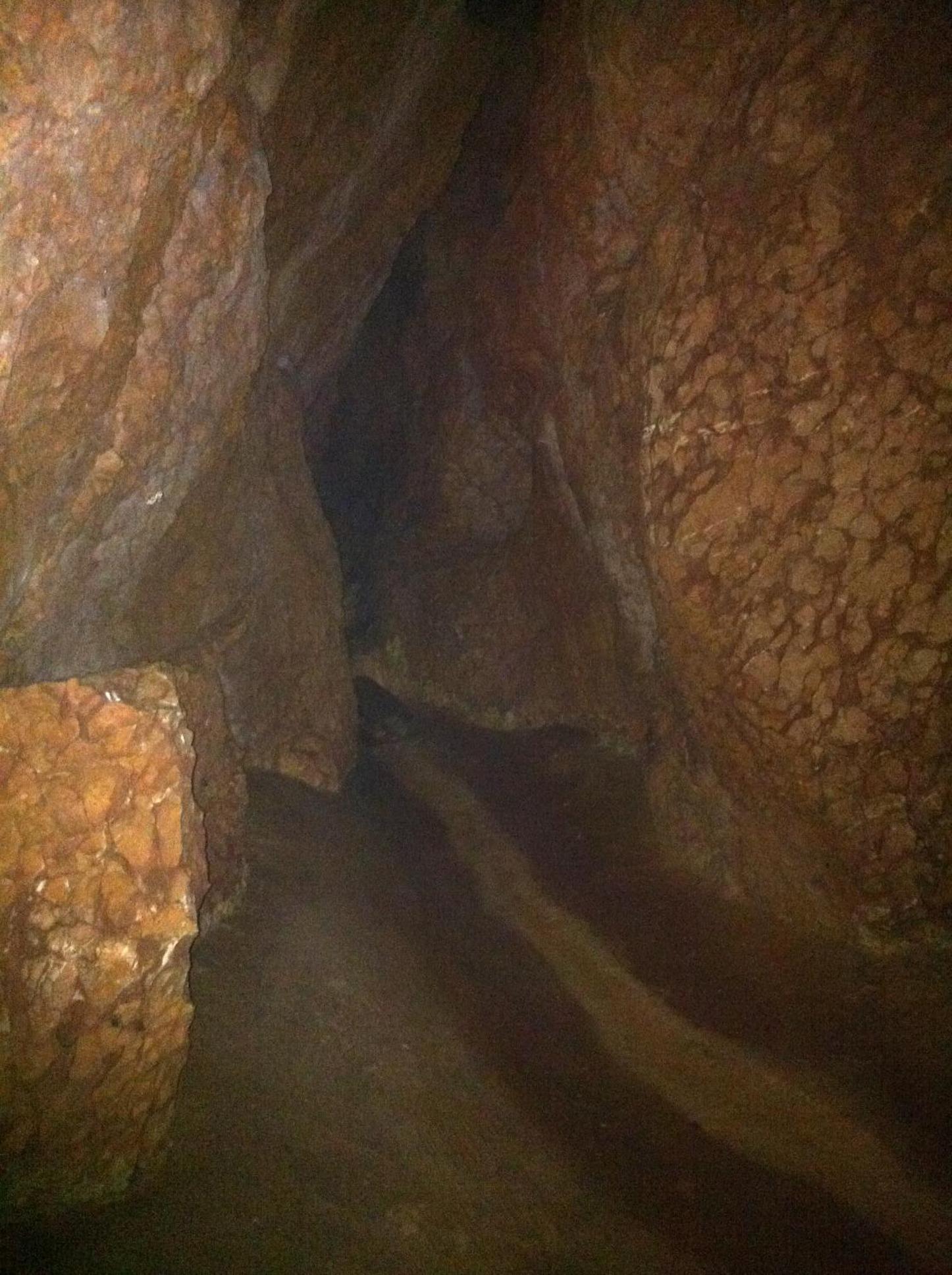 Photo 37