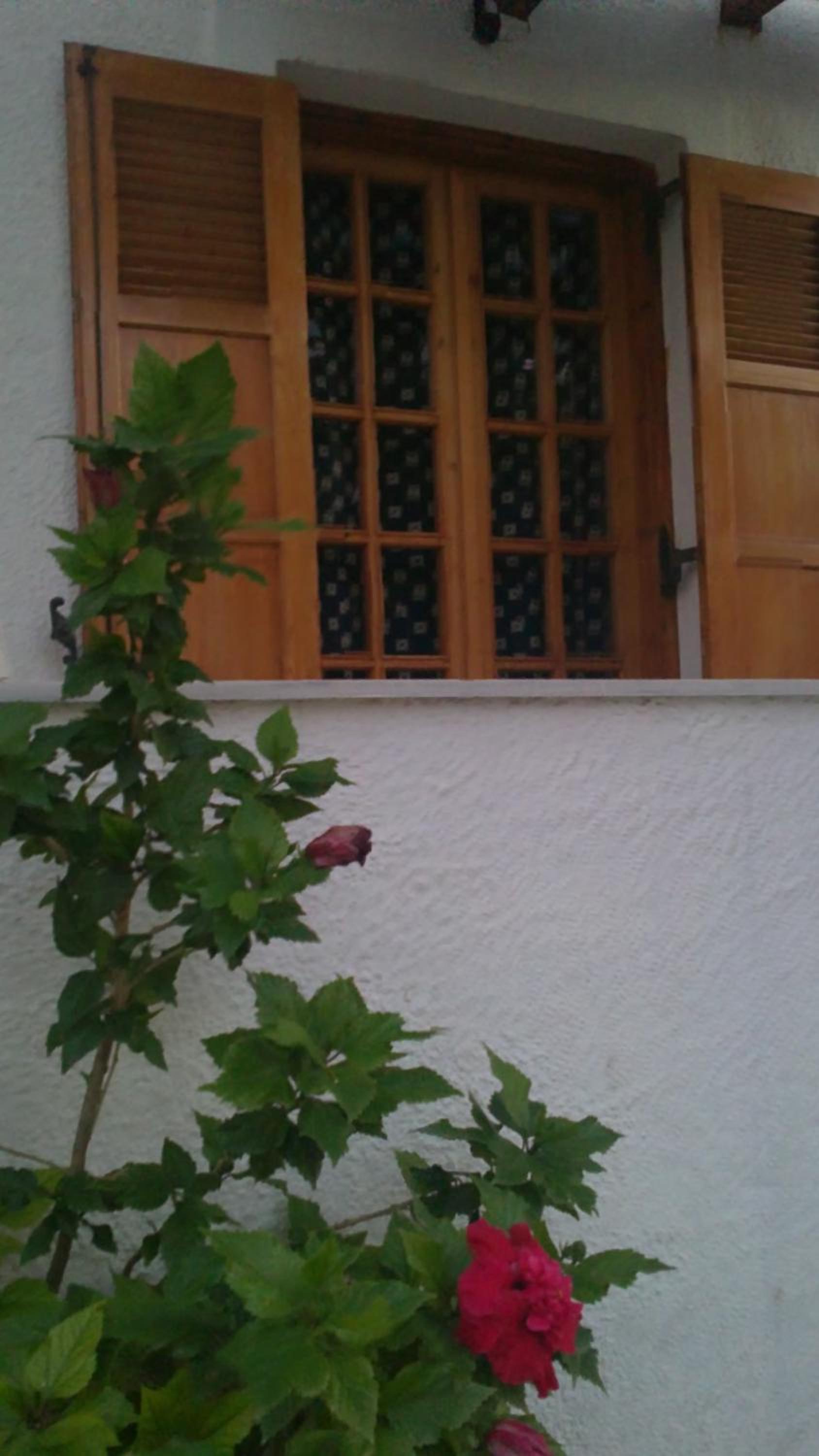 Pantazis Studios
