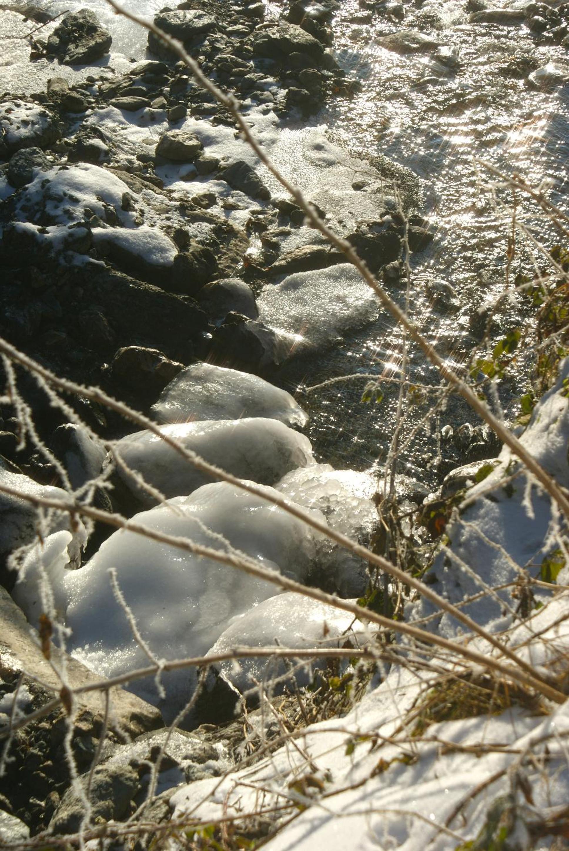 Photo 29