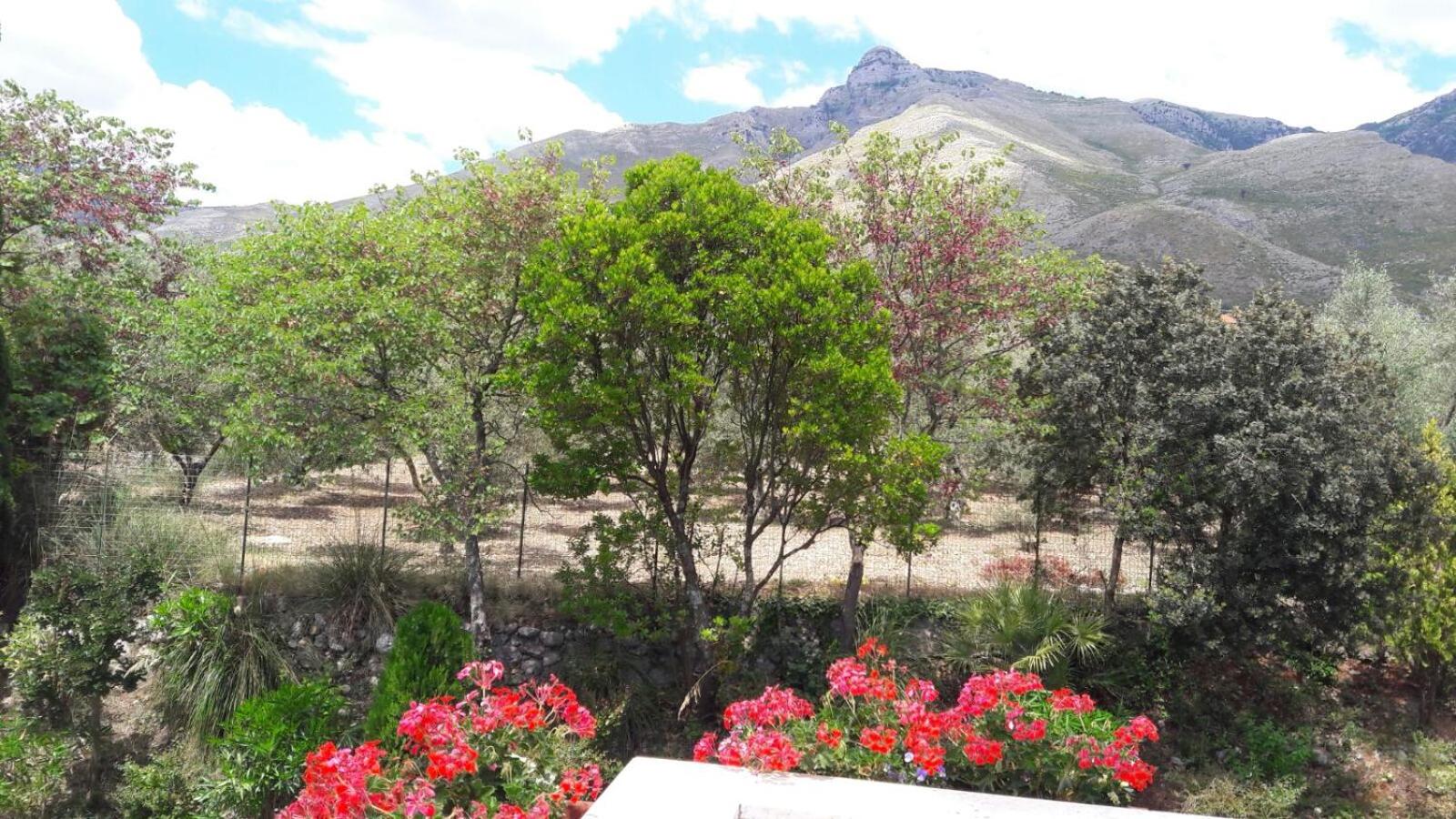 Photo 43