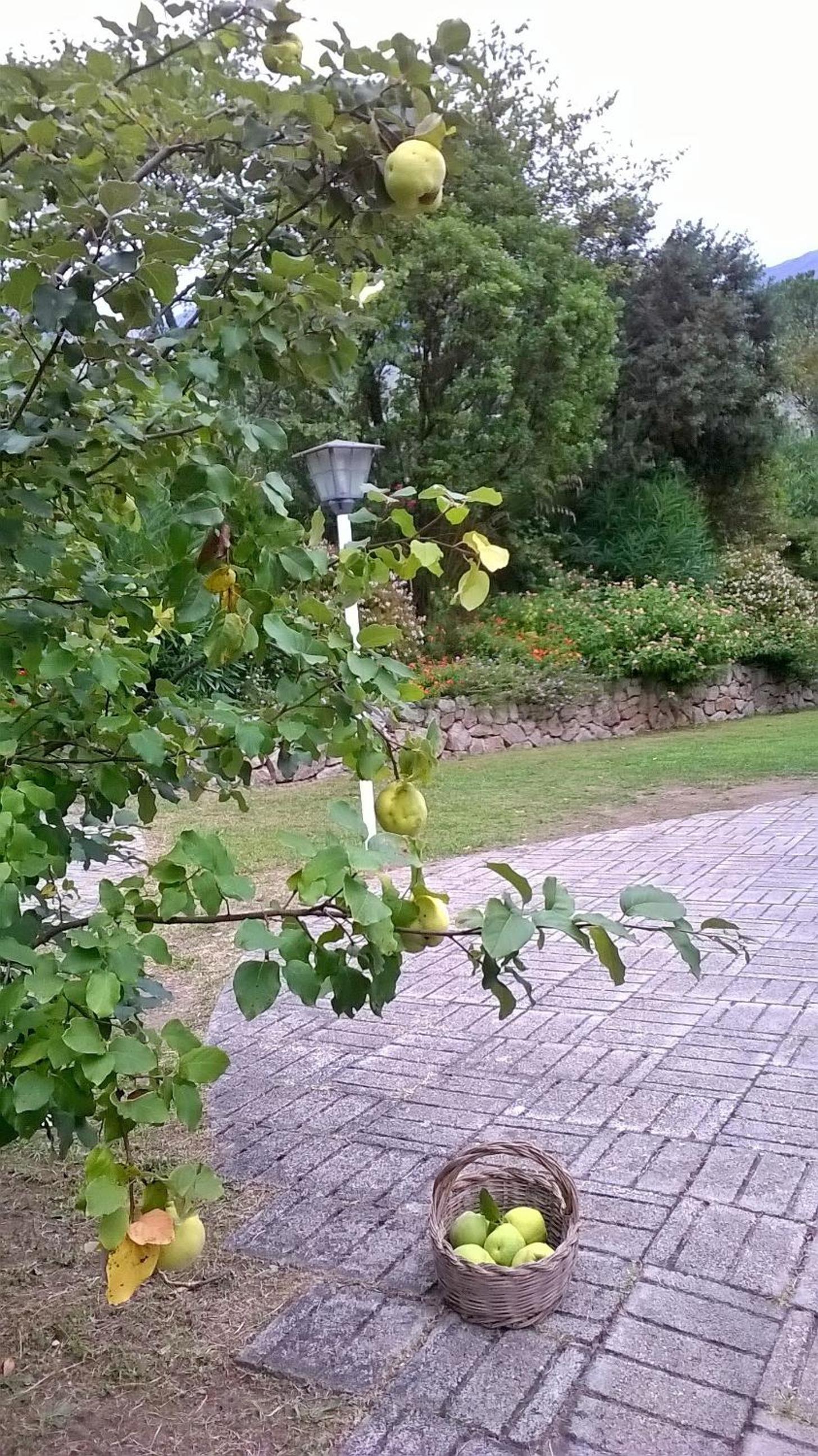 Photo 38