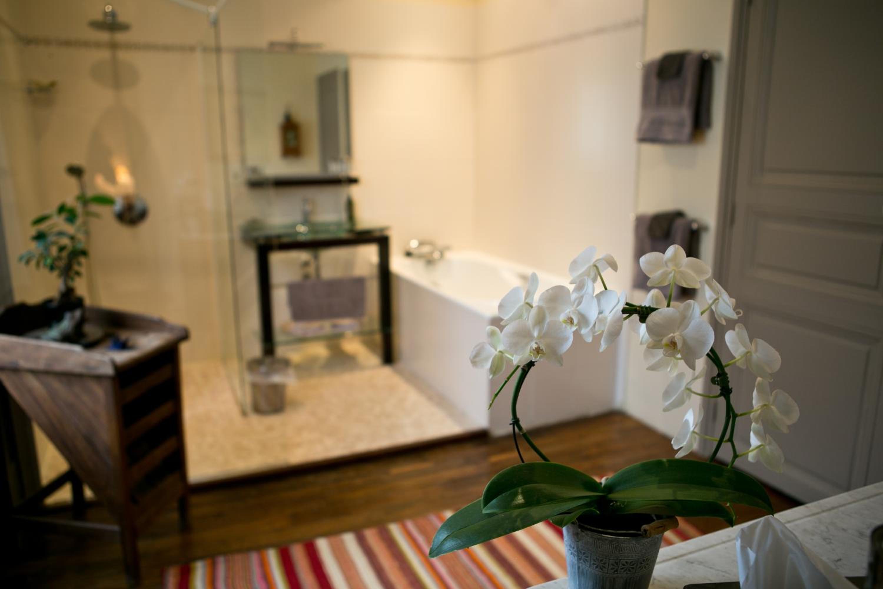 B&B Vassy Etaule
