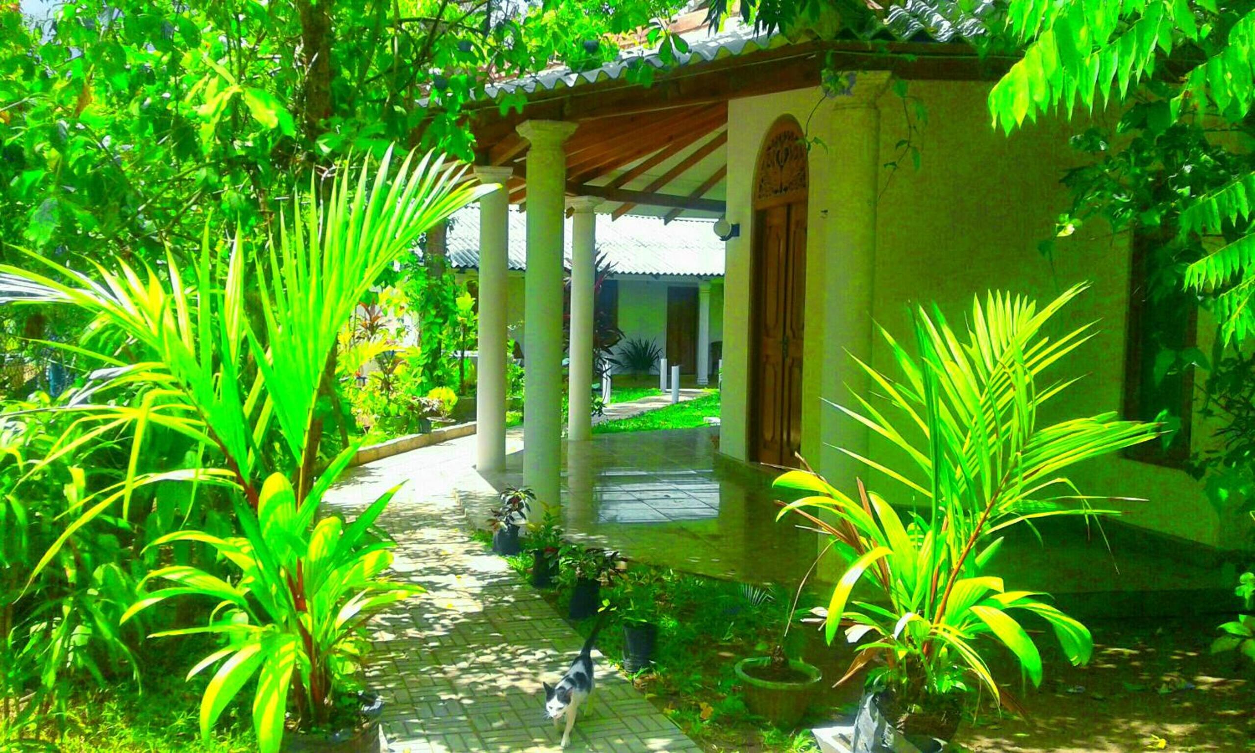 Photo 9