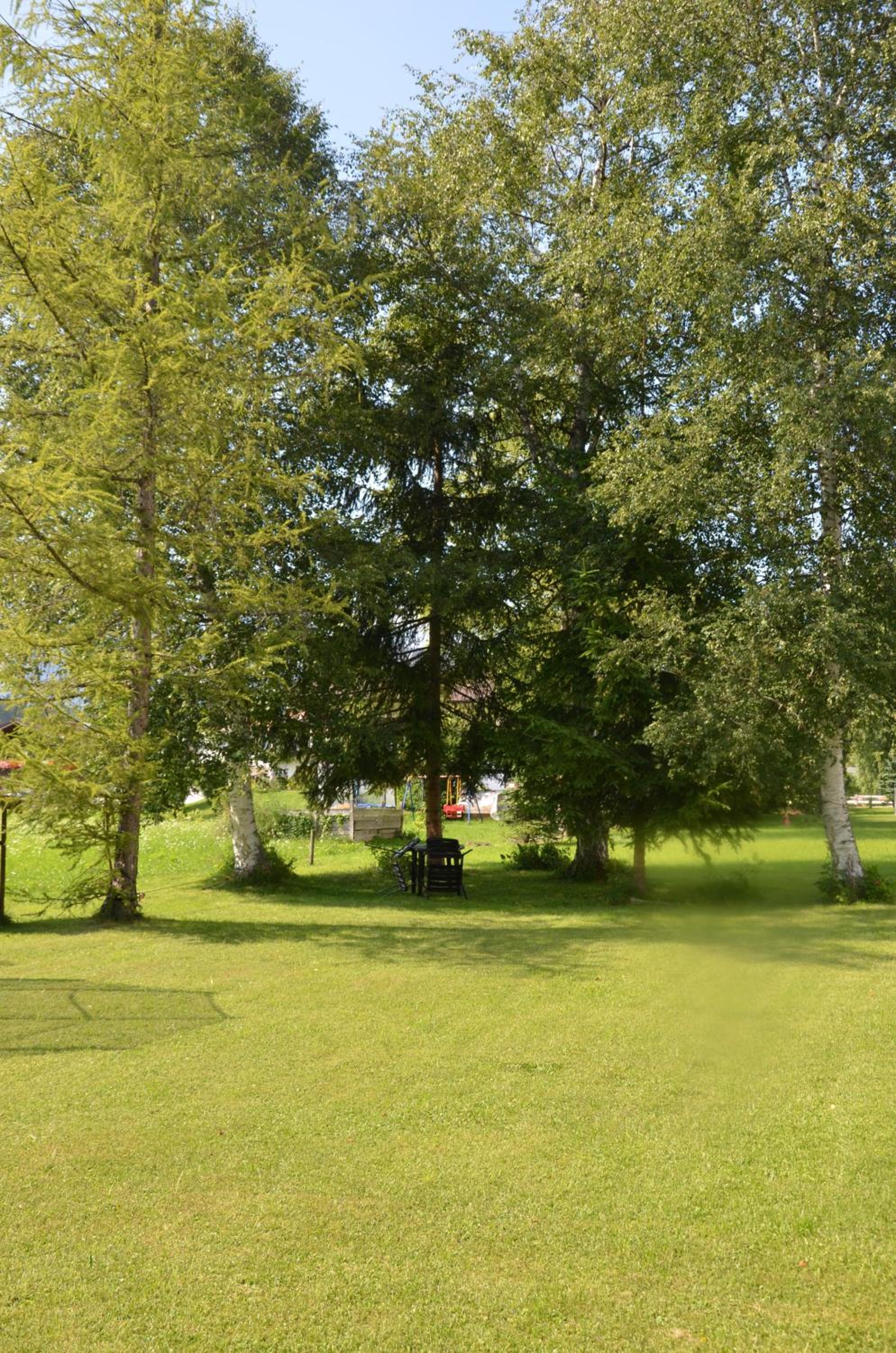 Photo 30