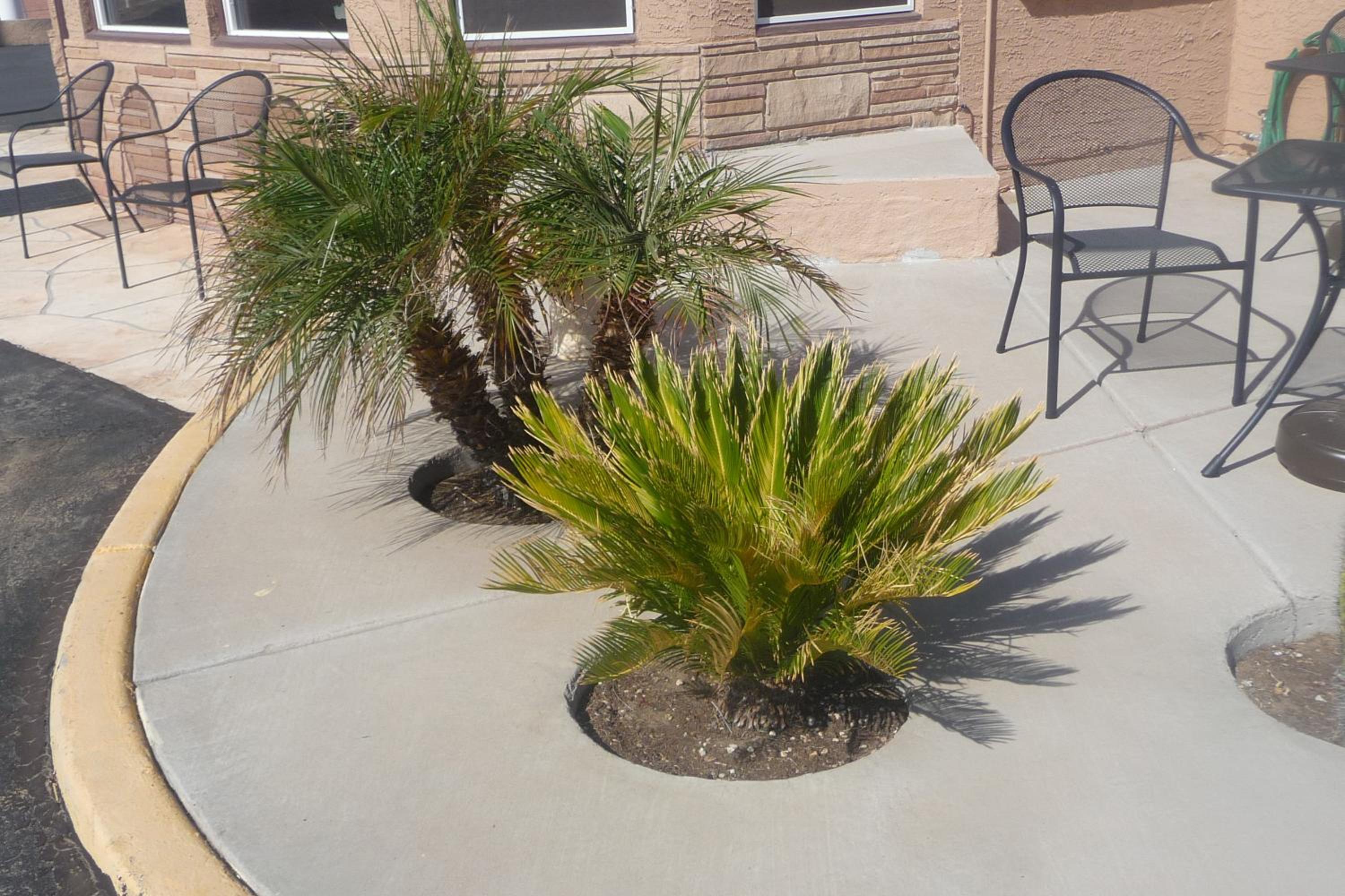 Palms Inn