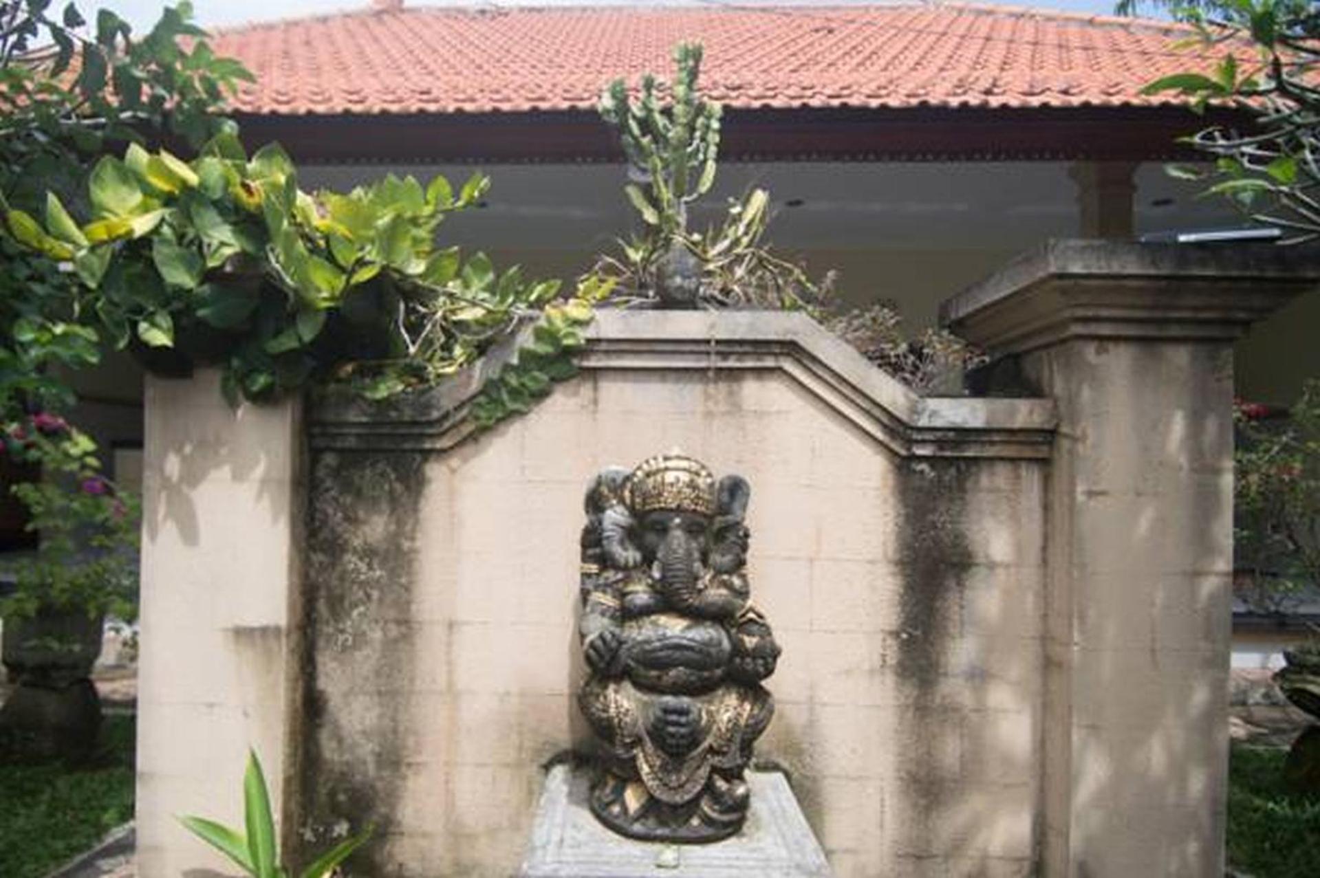 Photo 45