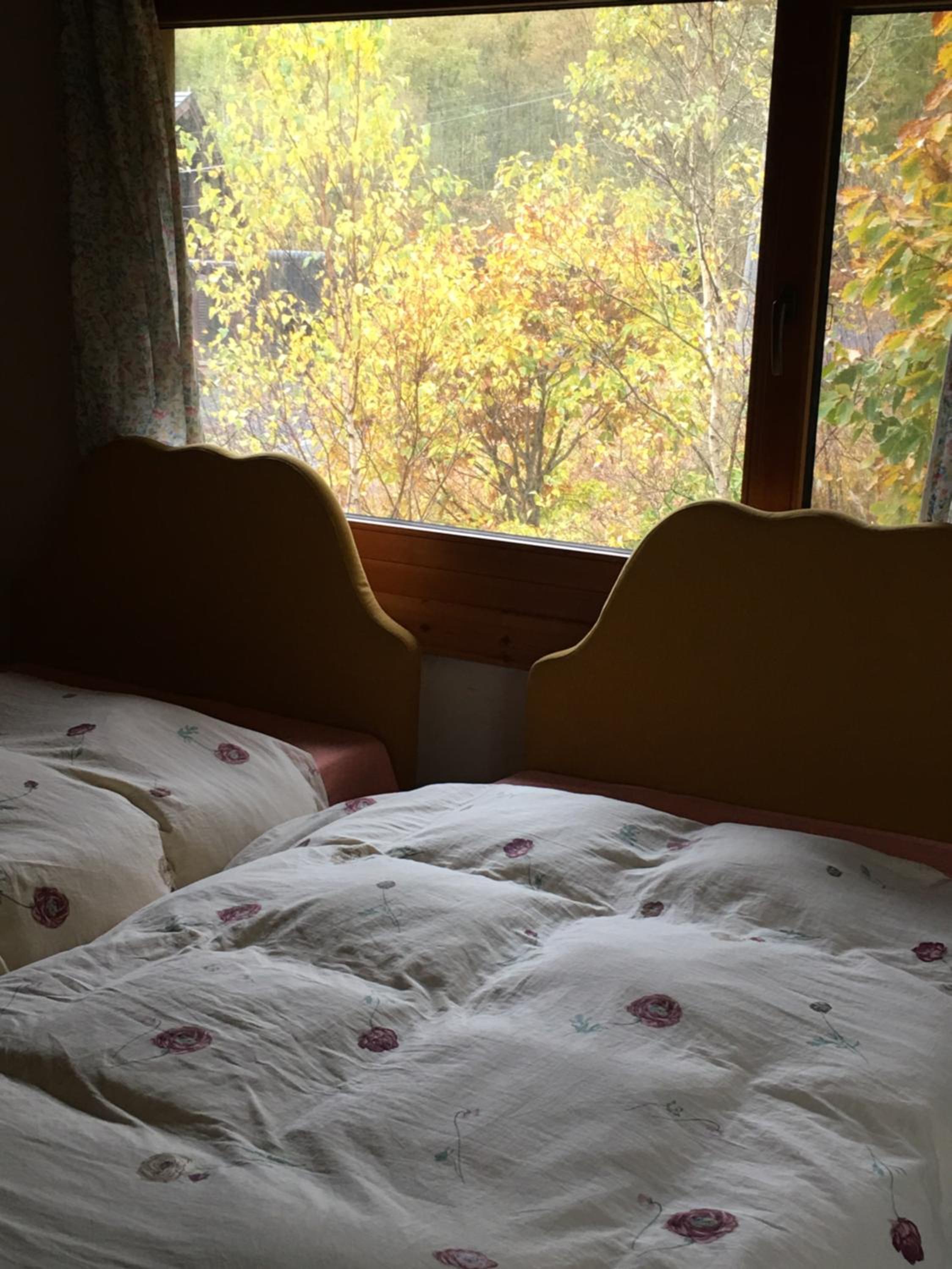 Photo 31