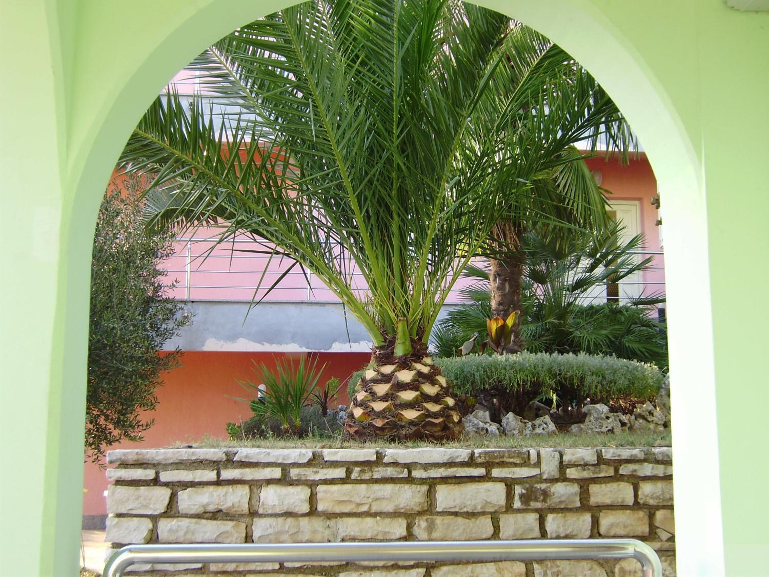 Egidio Gigi Bellich holiday apartments family houses view 4