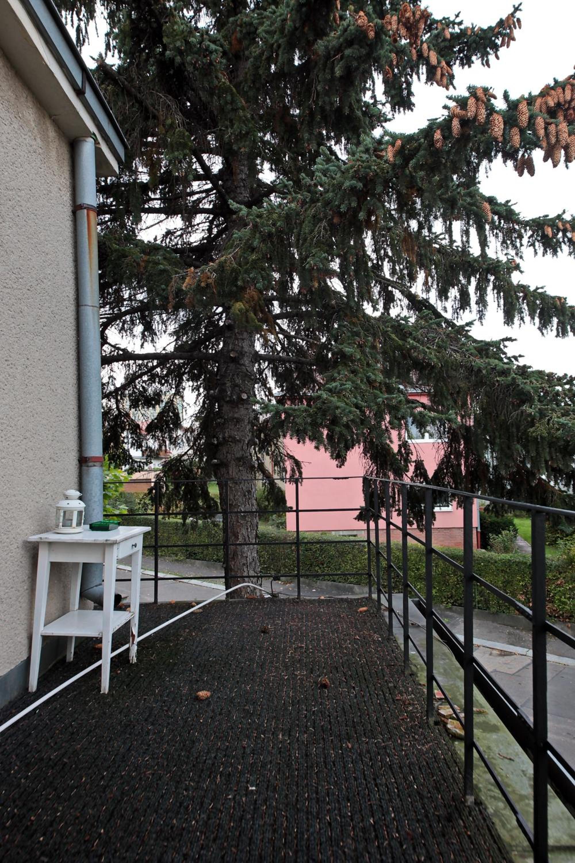 Apartment Kosatcová