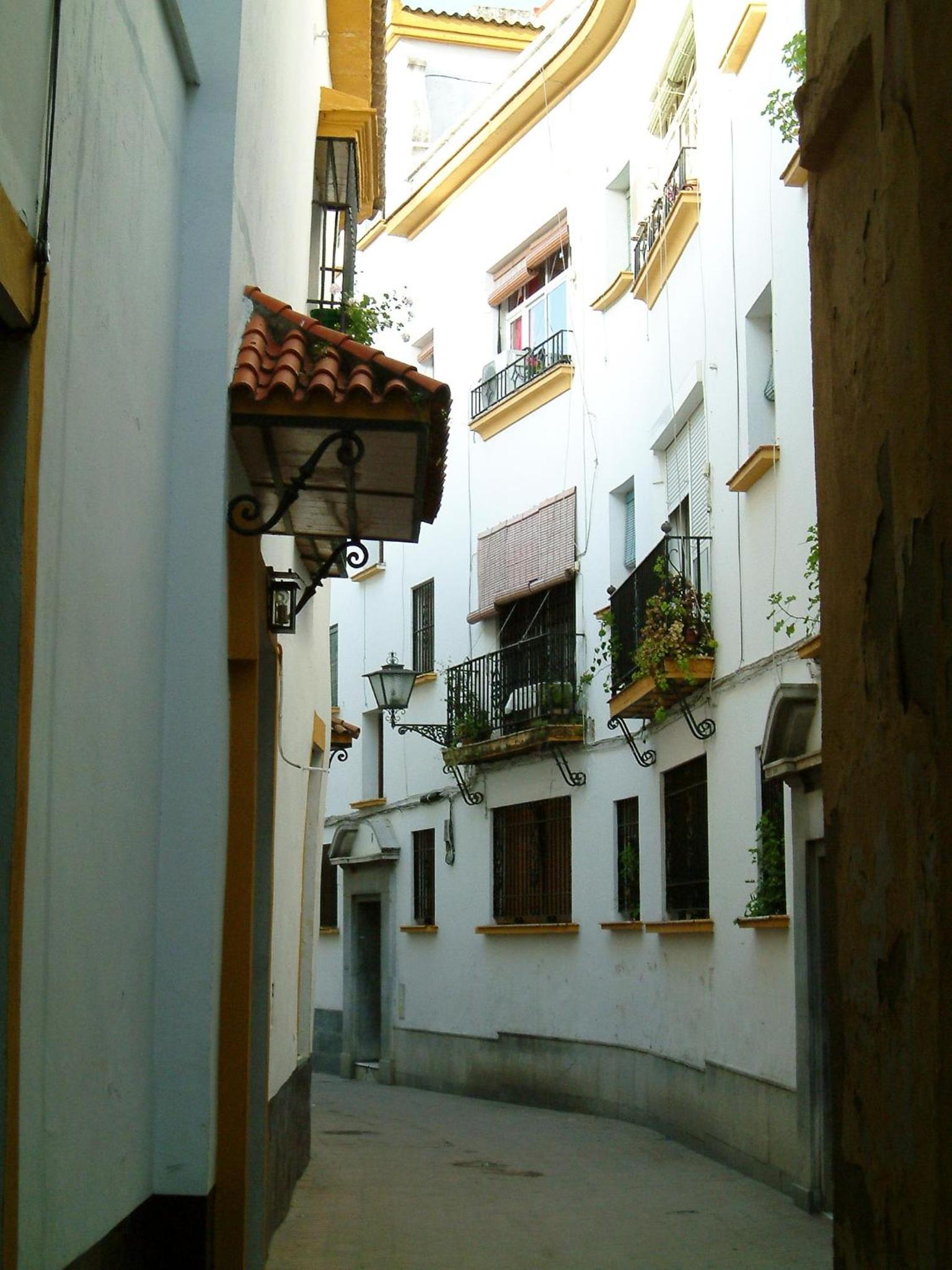 RentalSevilla San Clemente view 3