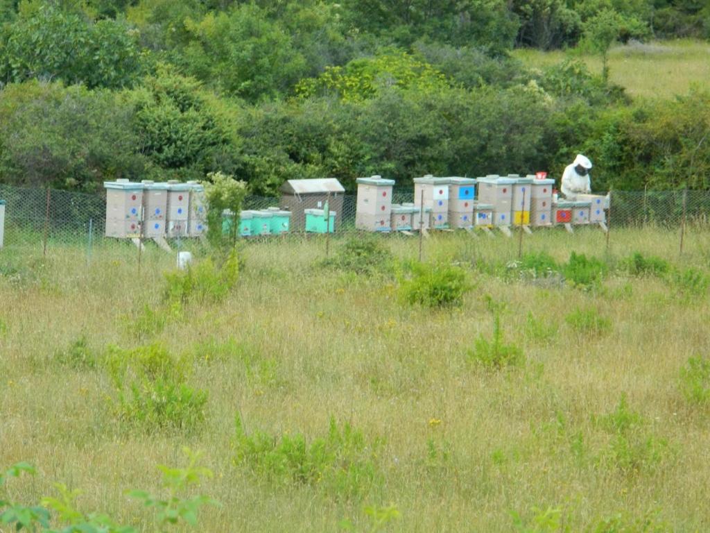 Photo 40
