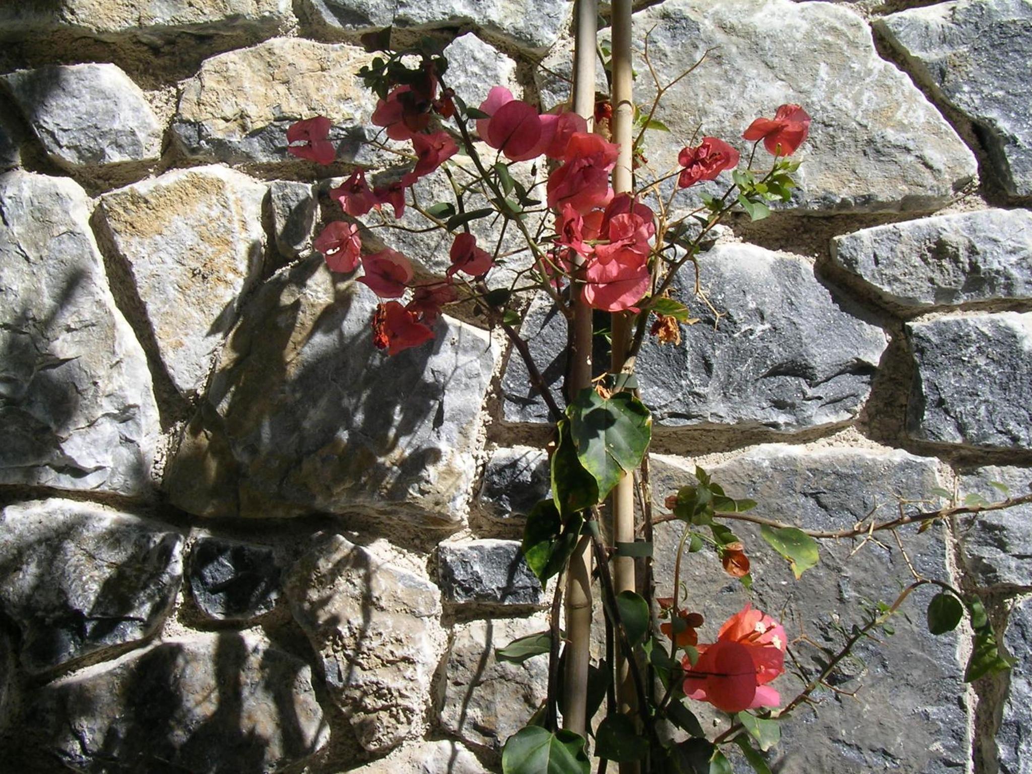 Photo 40