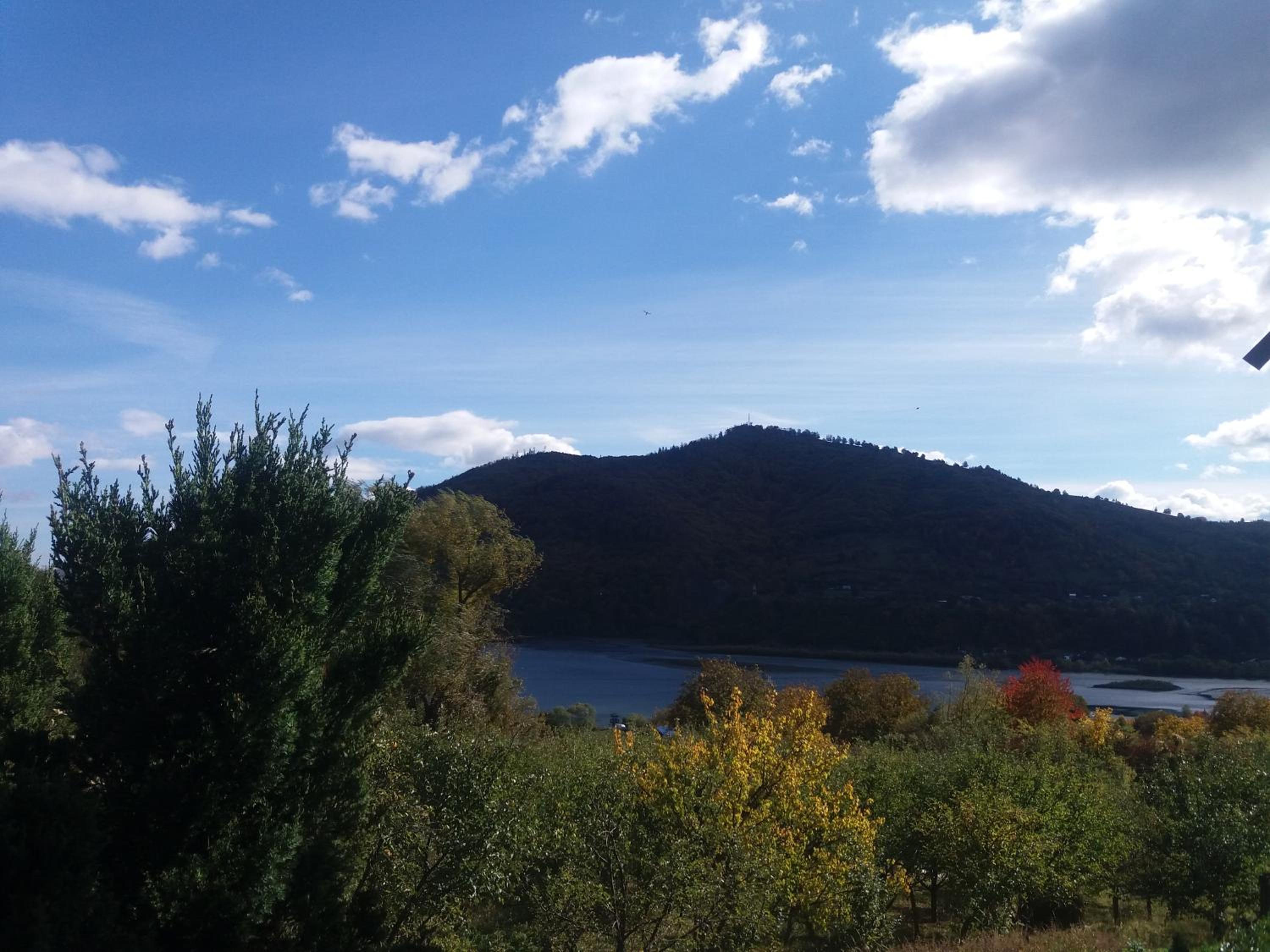 Photo 46