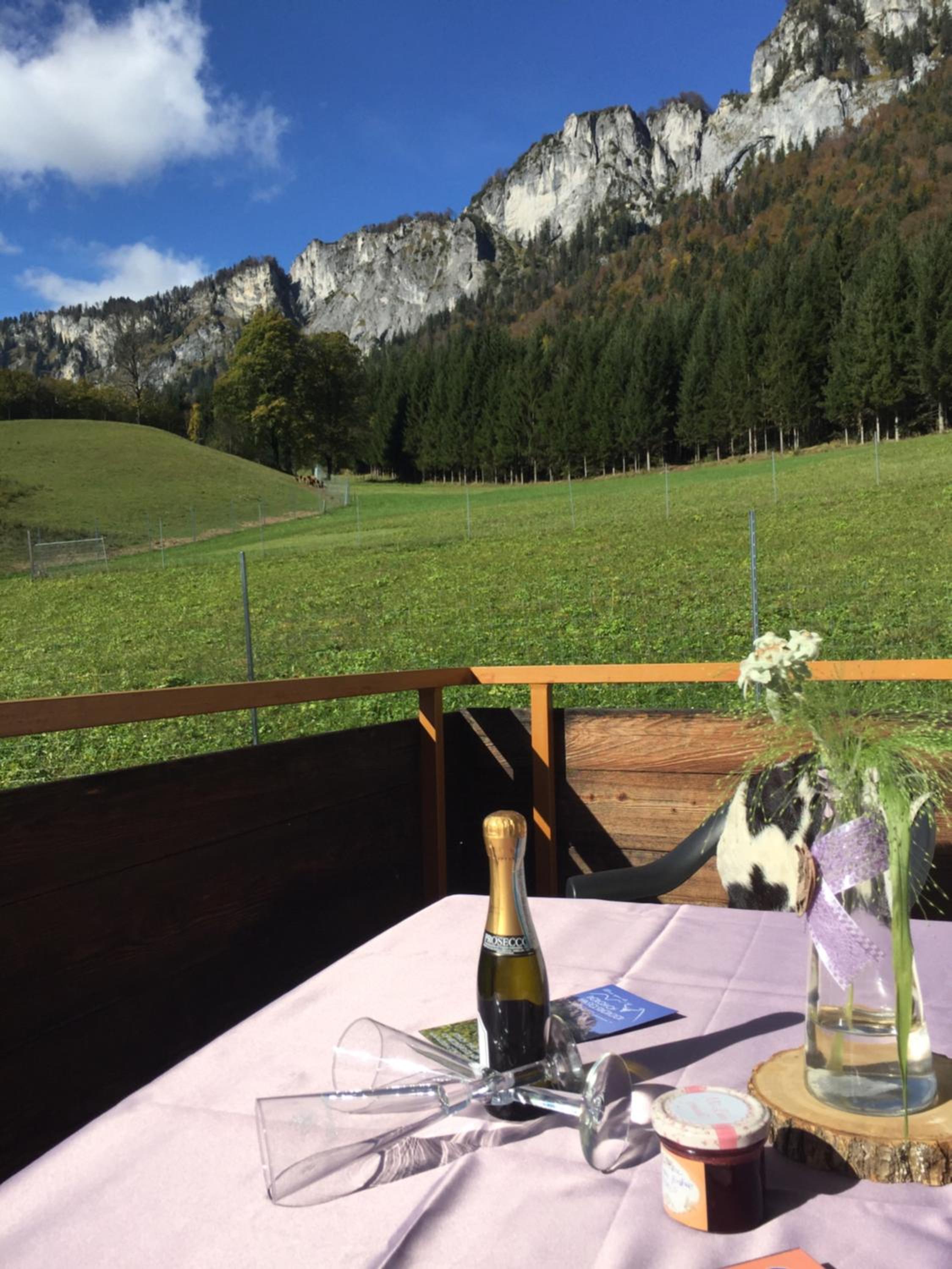 Berghof Haselsberger Appartements